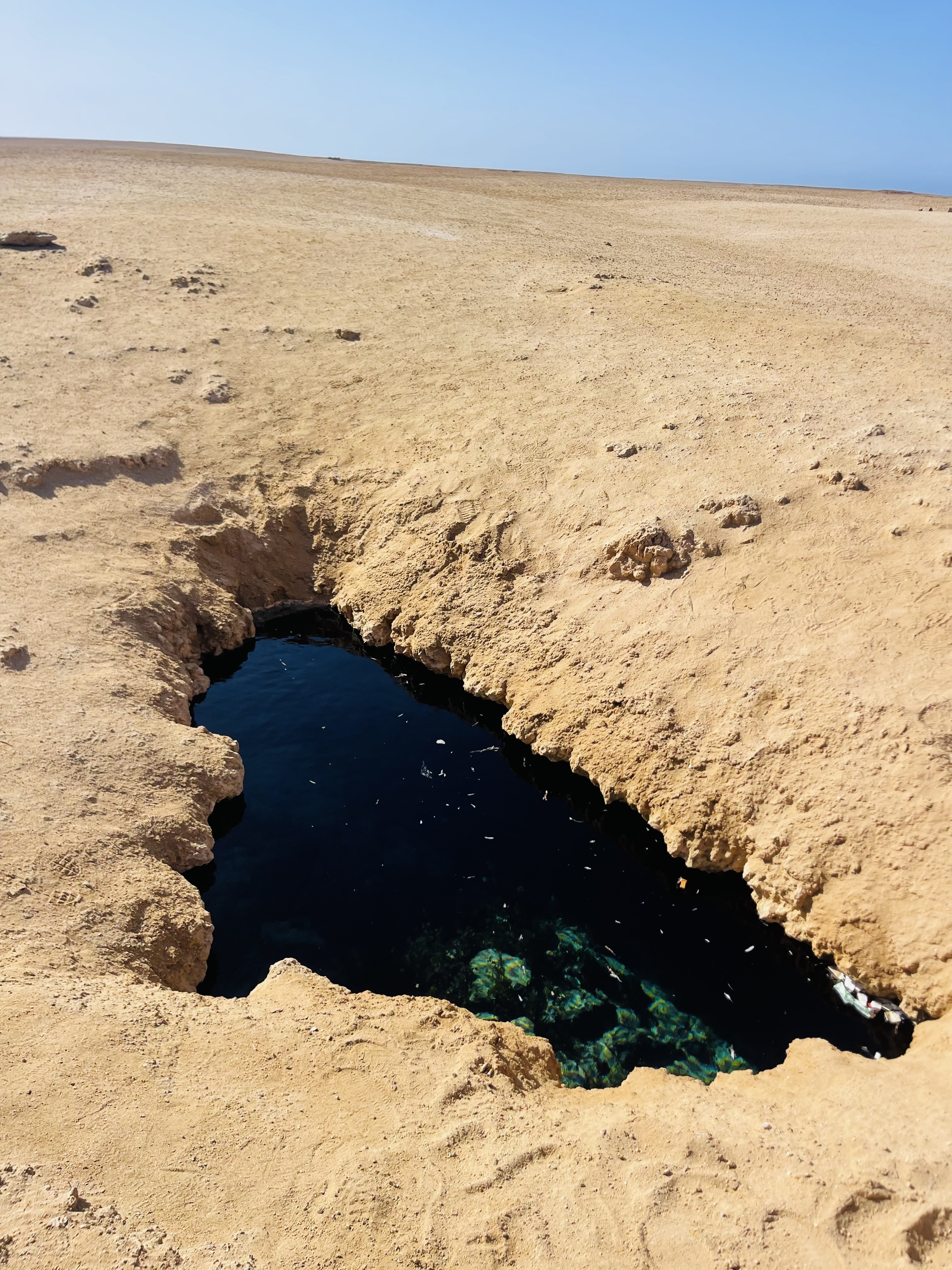 Индивидуальная экскурсия в заповедник рас Мухамад с обедом море продукты на пляже (24/28)