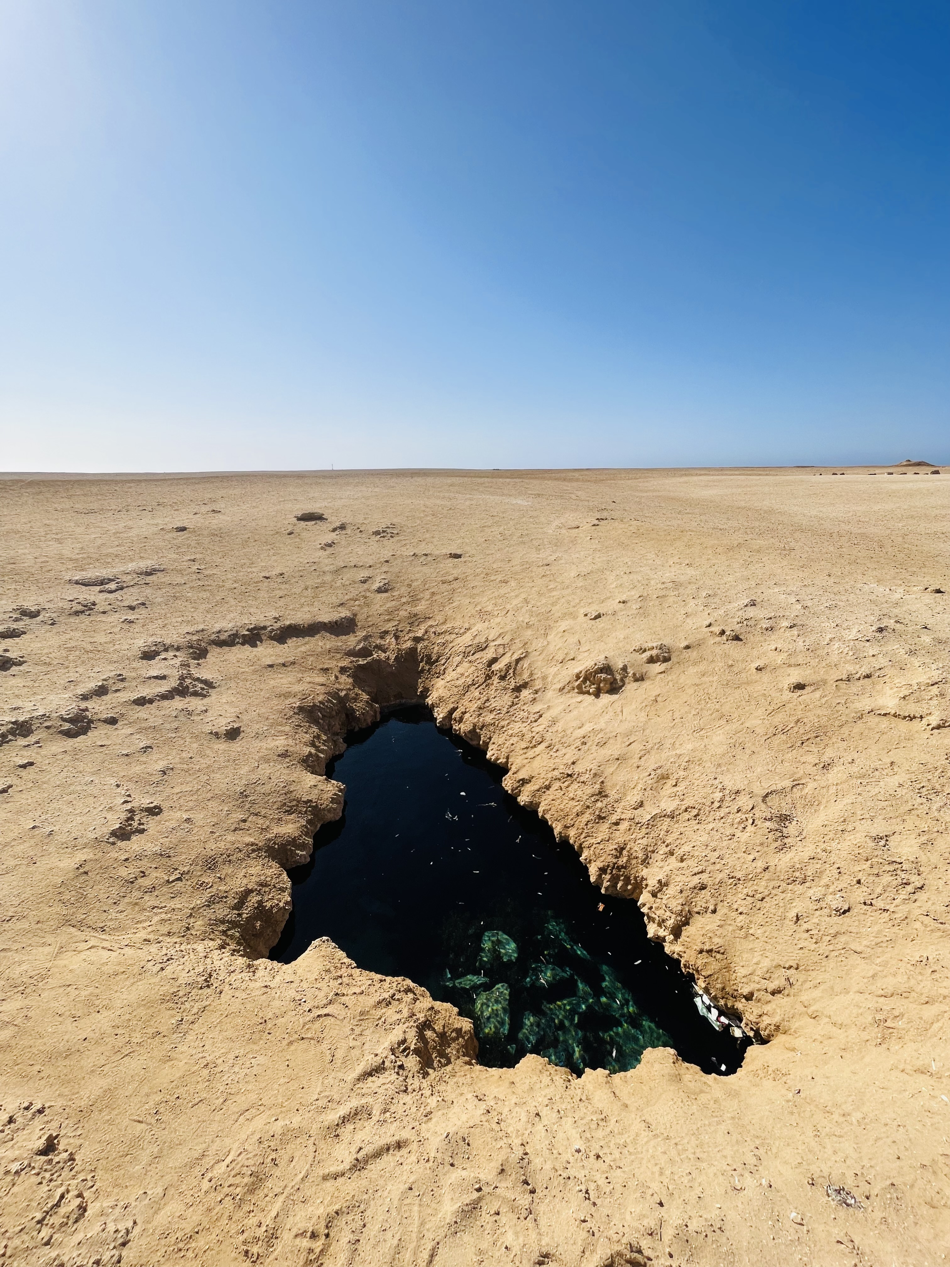 Индивидуальная экскурсия в заповедник рас Мухамад с обедом море продукты на пляже (25/28)