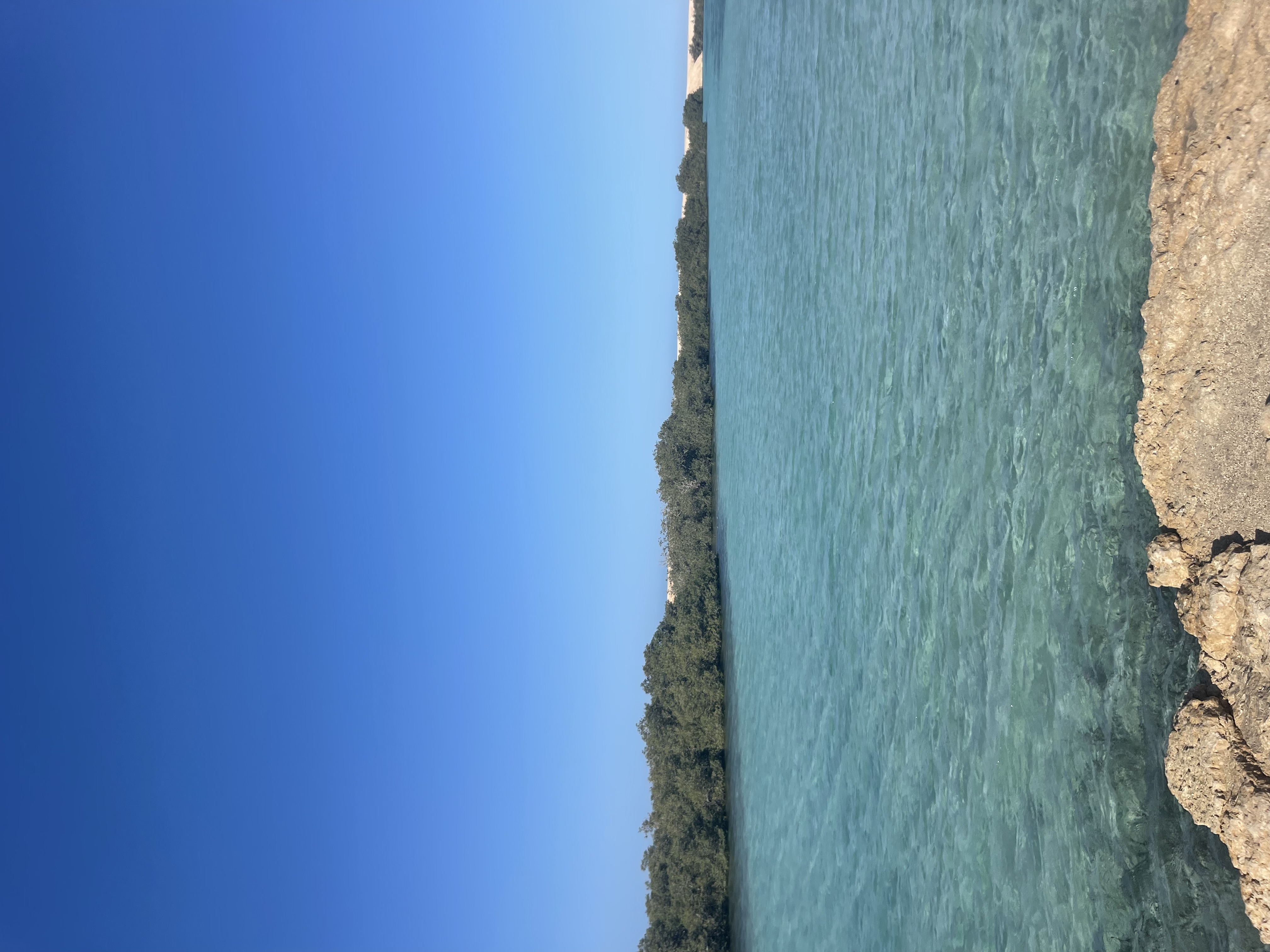 Индивидуальная экскурсия в заповедник рас Мухамад с обедом море продукты на пляже (18/28)