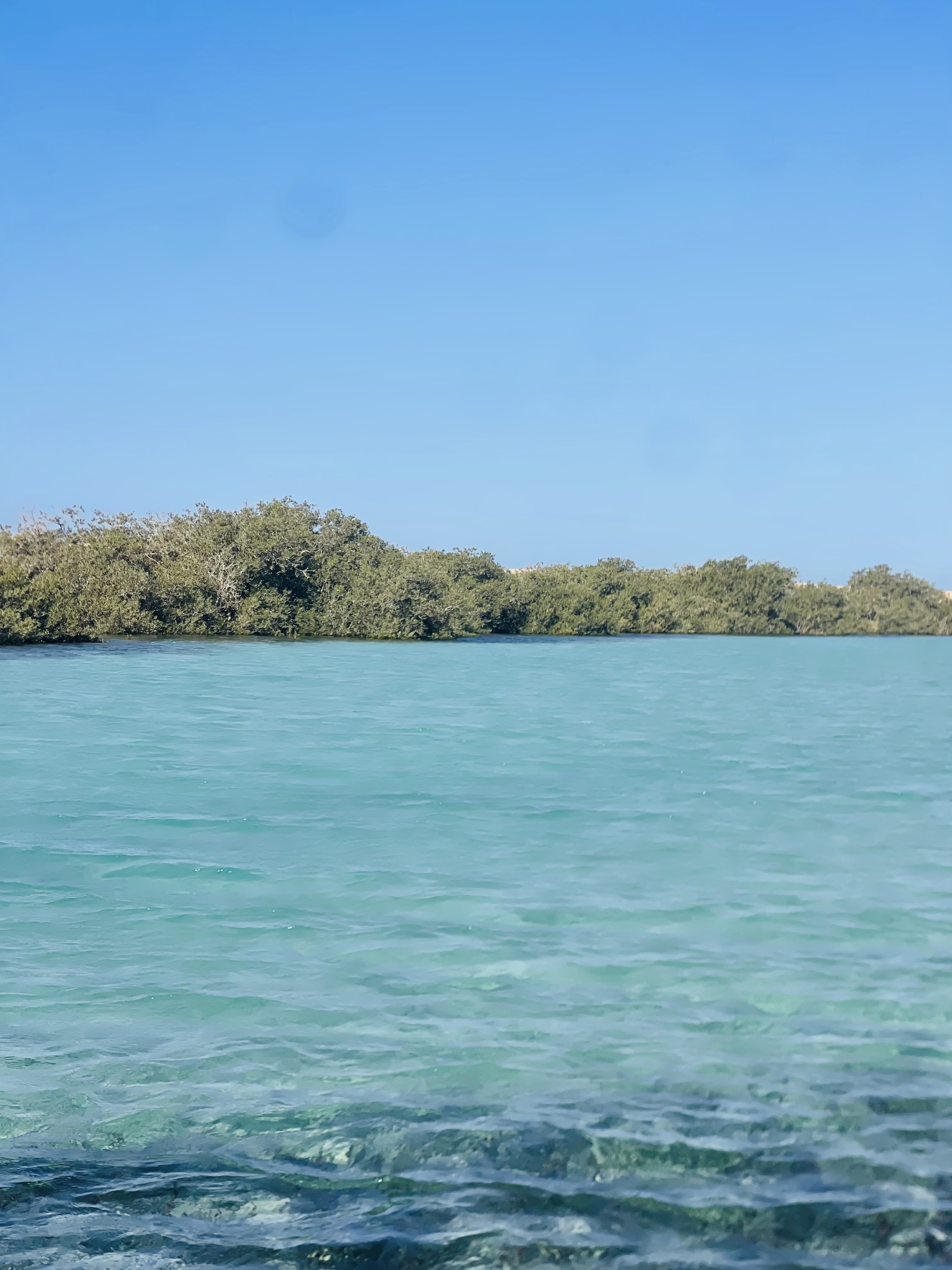 Индивидуальная экскурсия в заповедник рас Мухамад с обедом море продукты на пляже (22/28)