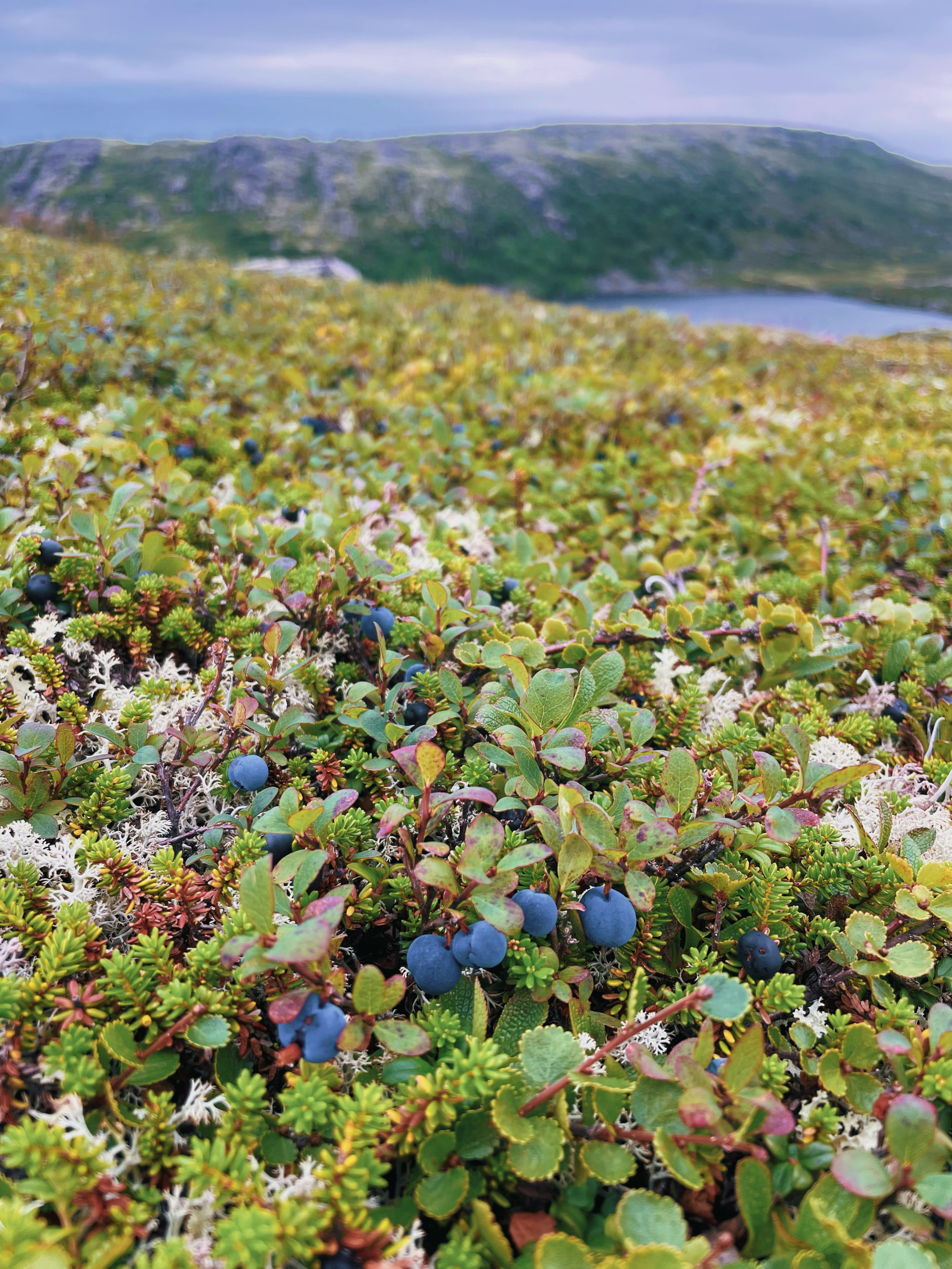 Комфорт-тур за китами: два выхода в море и максимум шансов на встречу (5/15)
