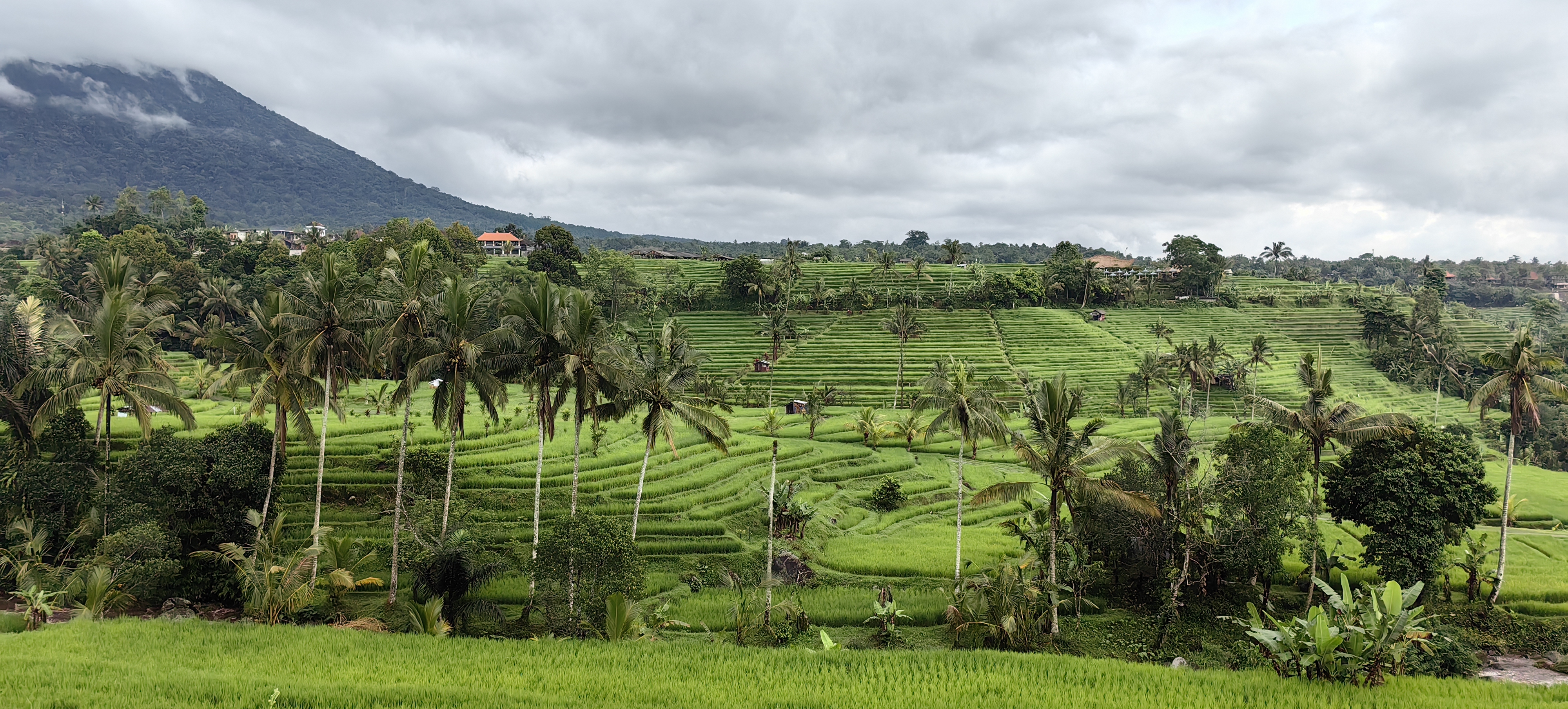 Переезд в Убуд