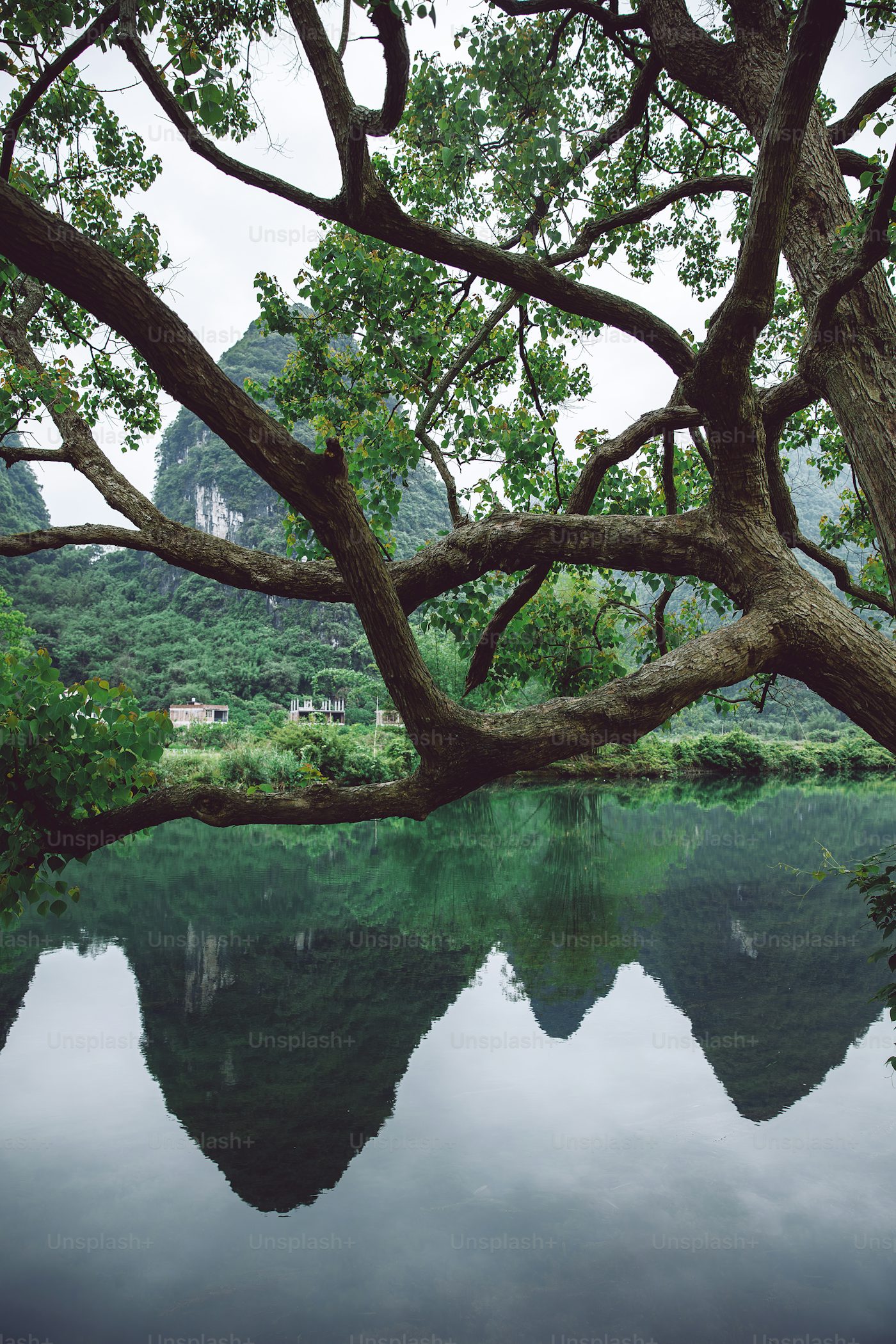 Путешествие по югу Поднебесной: рисовые террасы, горные пейзажи и древние деревни (13/28)