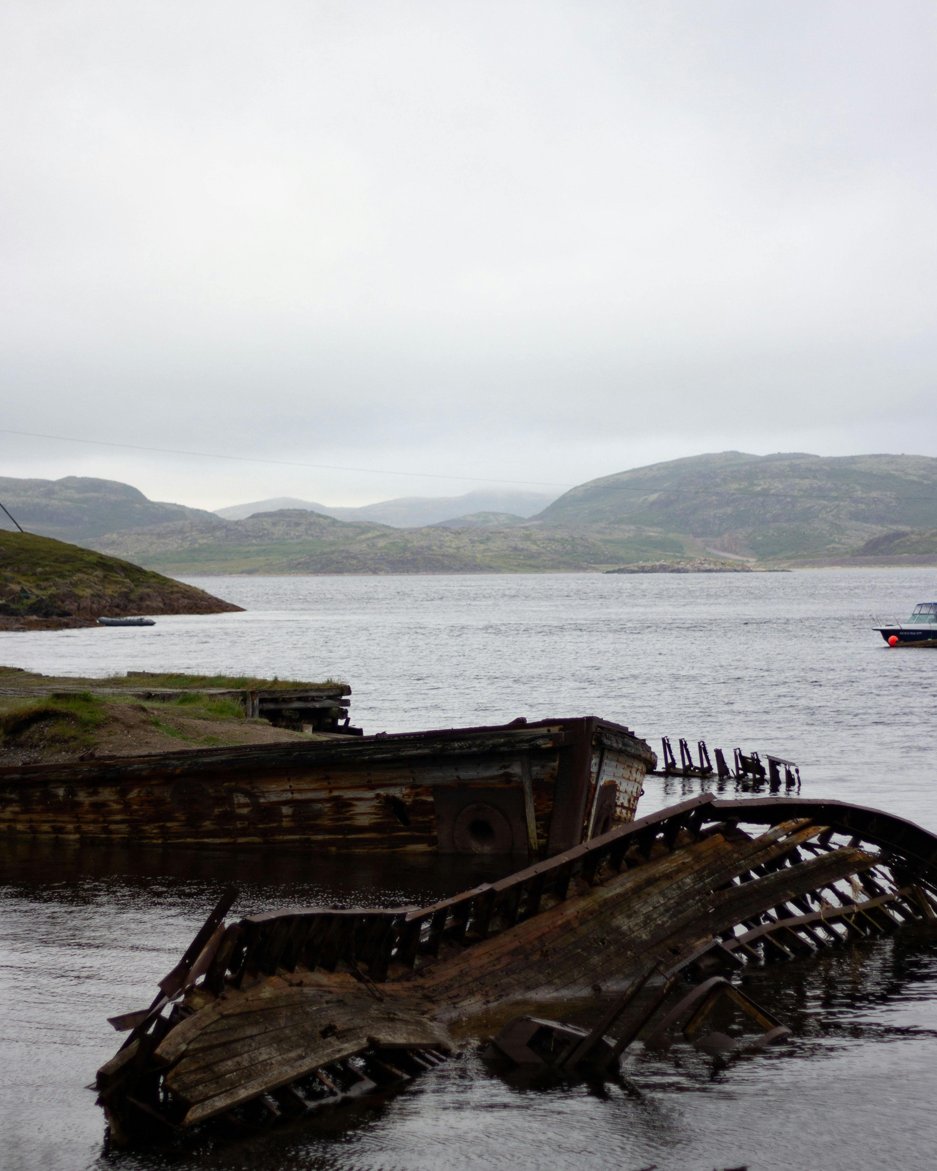Комфорт-тур за китами: два выхода в море и максимум шансов на встречу (2/15)