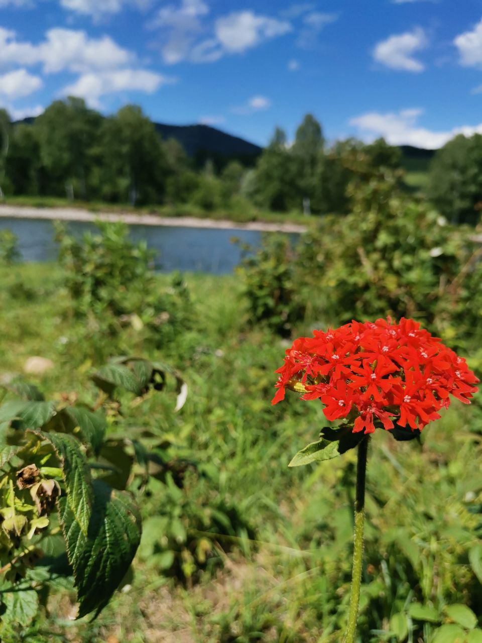 Горный Чарыш: 6 дней в Диком Алтае, всё включено! (10/37)