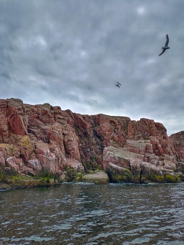 Комфорт-тур за китами: два выхода в море и максимум шансов на встречу (4/15)