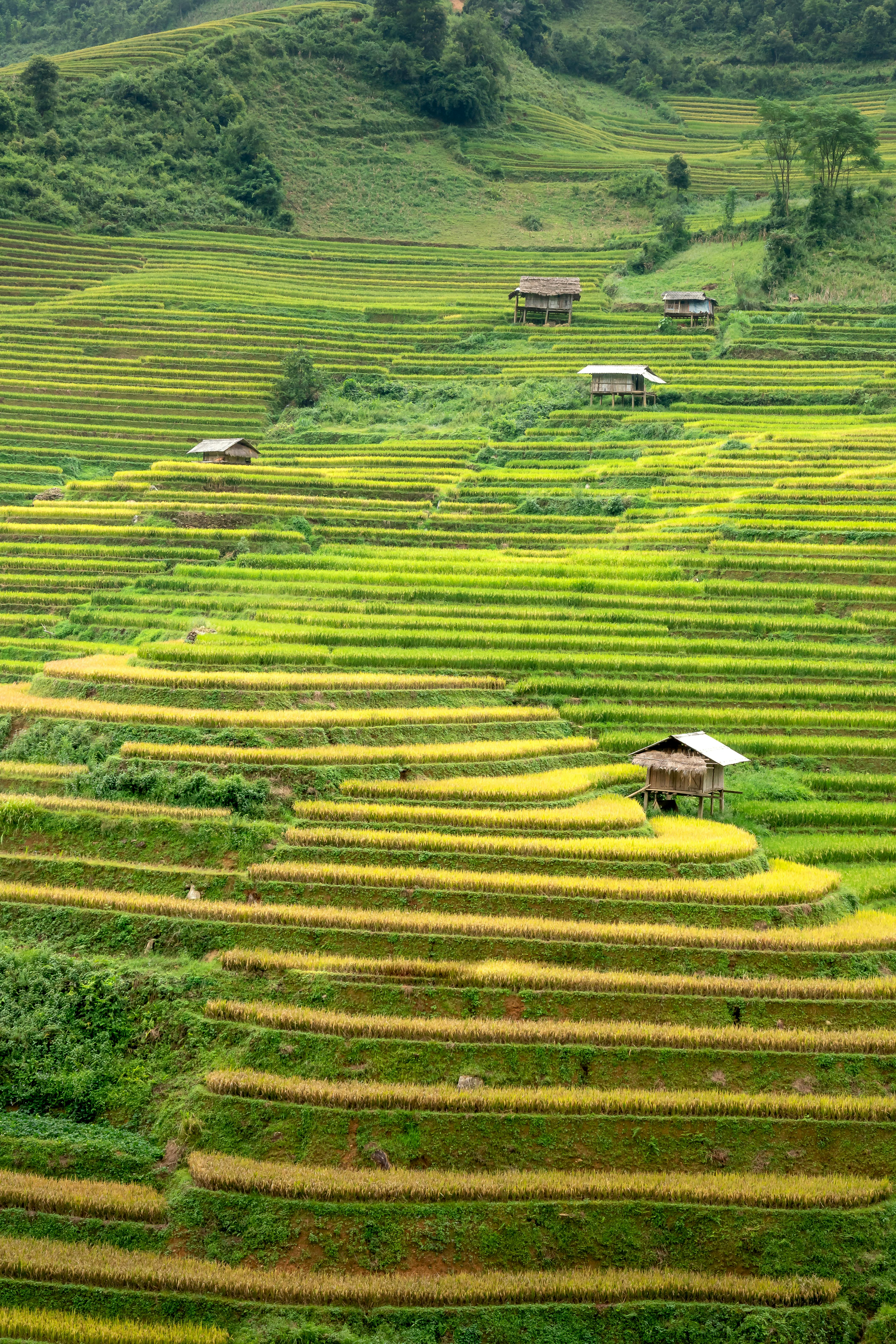 Балиспорт Плавательныйтур (9/27)