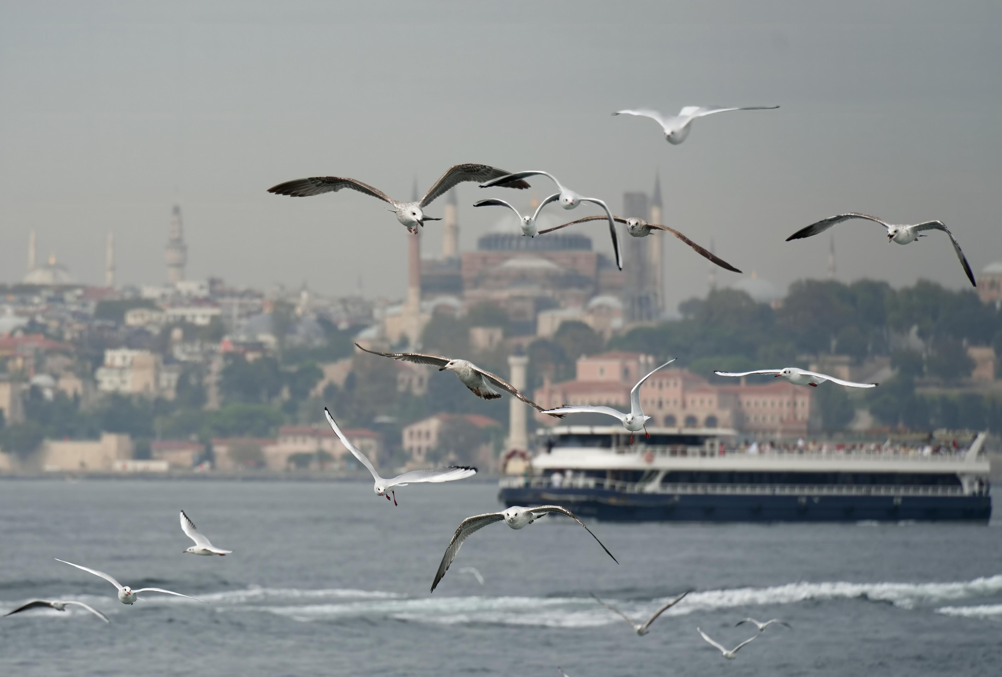 Стамбул: Симфония Площадей, Мечетей и Дворцов! (9/32)