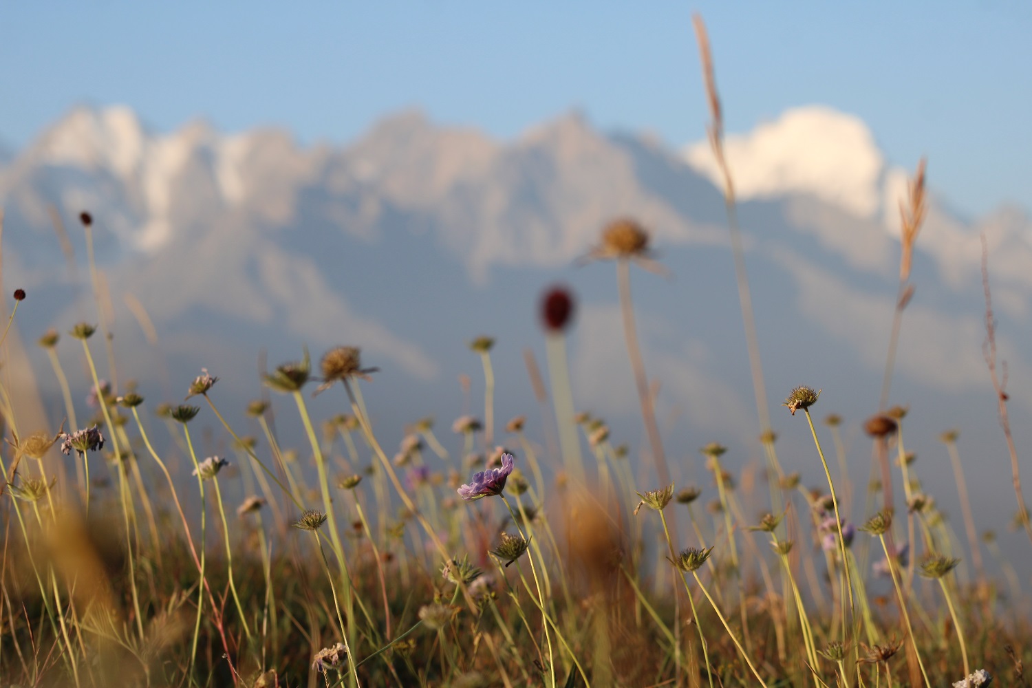 Астропутешествие в горы с телескопом (10/23)