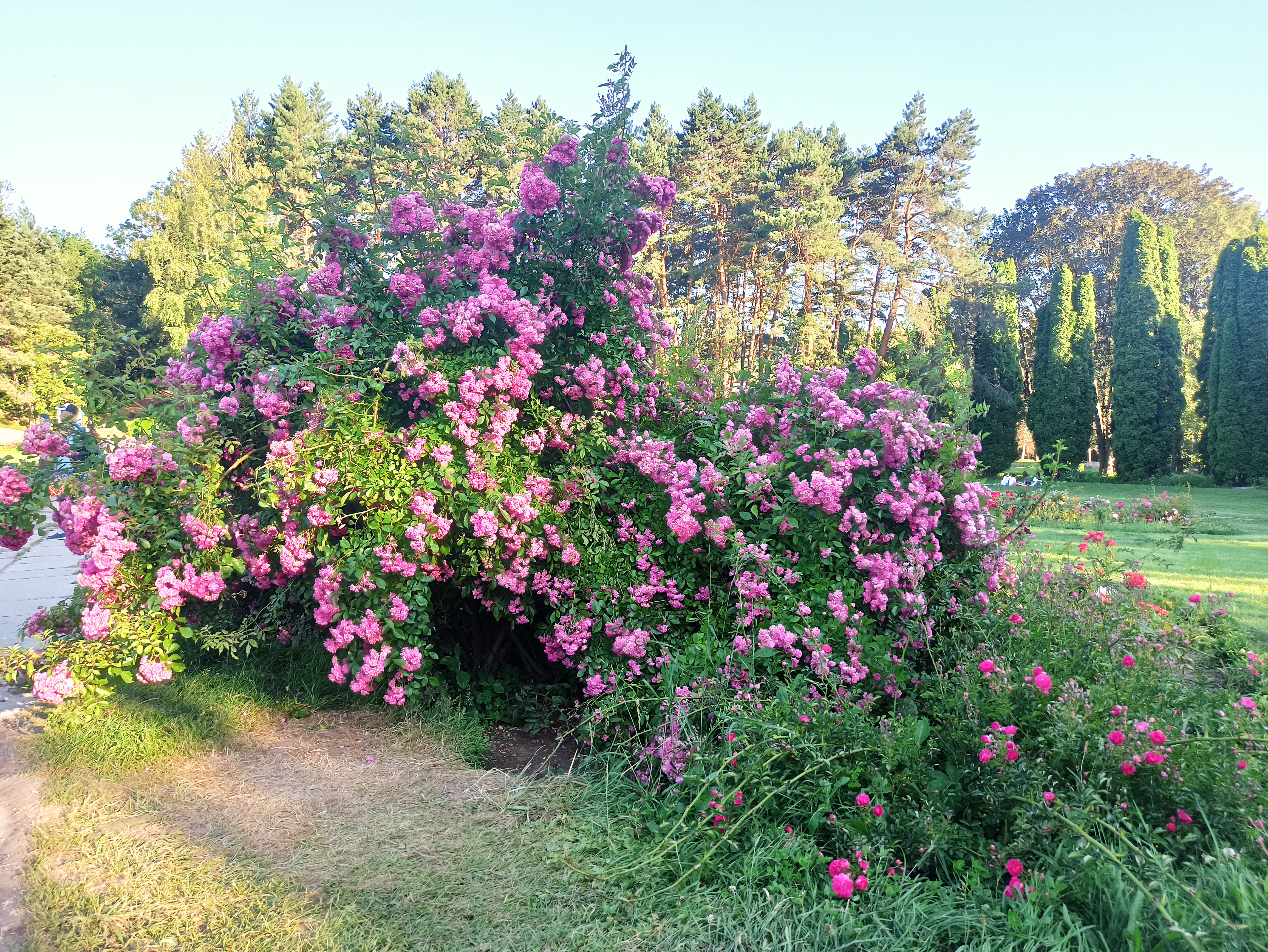 5 дней в горах Кавказа (26/31)