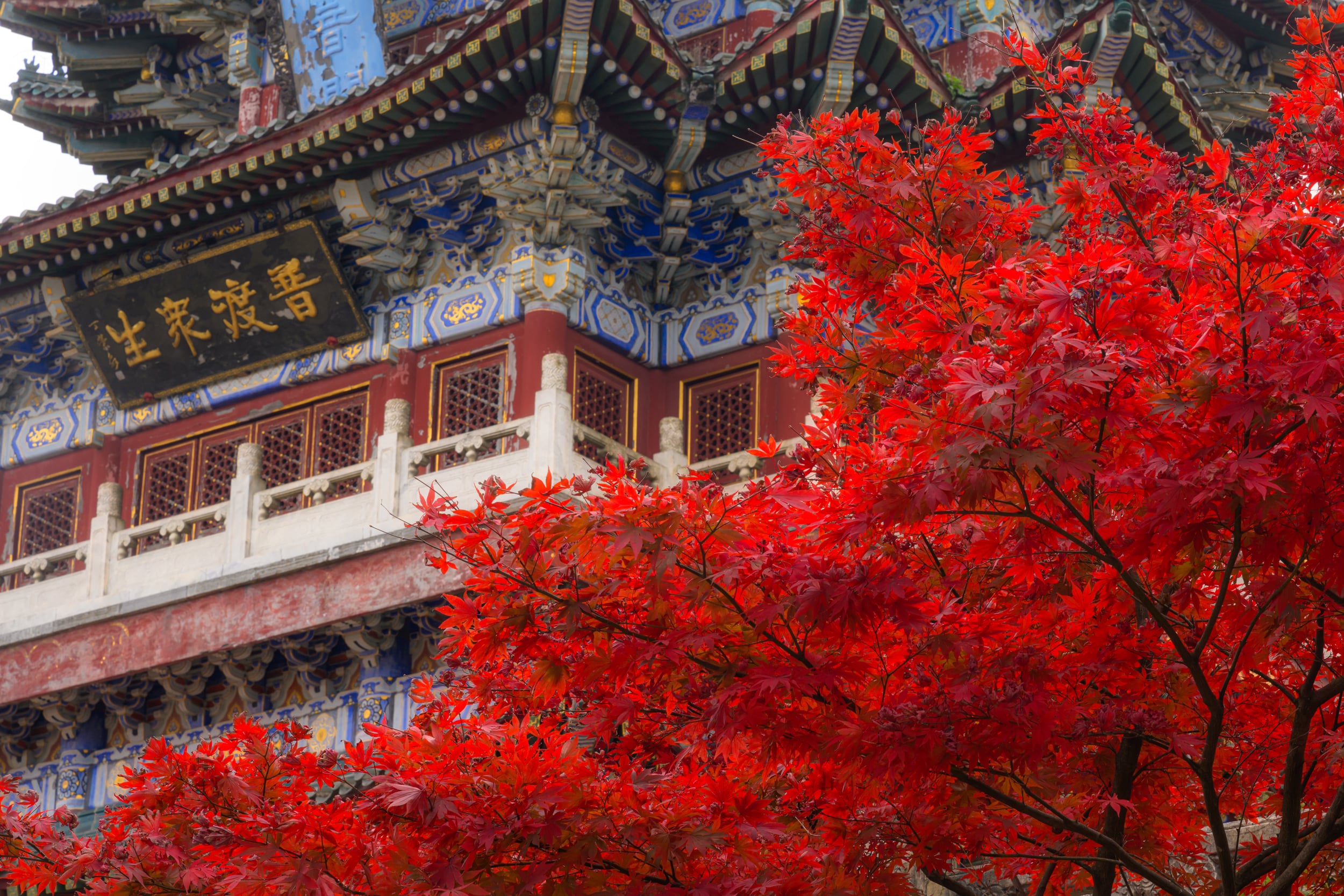 Гранд-тур в Китай  От Гуанчжоу до гор Аватара (10/45)