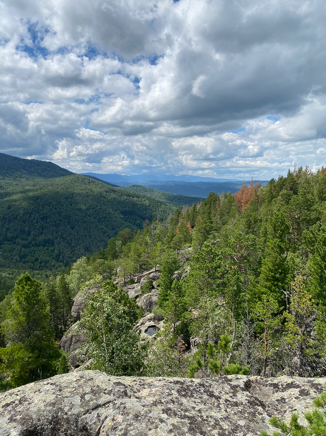 Горный Чарыш: 6 дней в Диком Алтае, всё включено! (31/37)