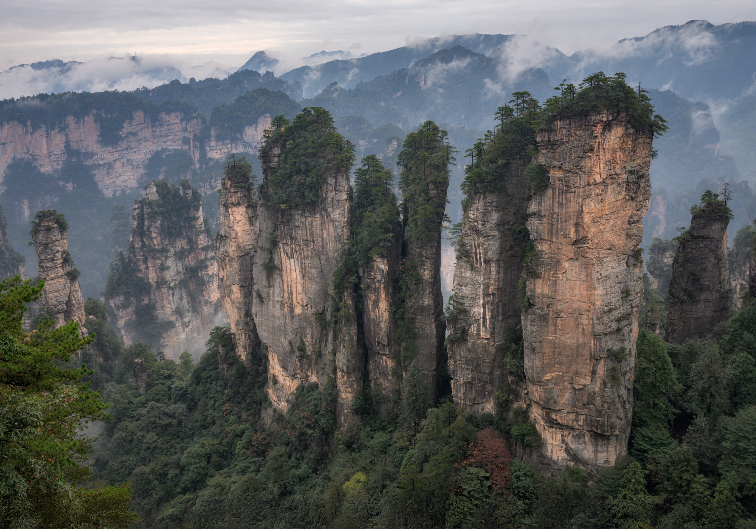 Гранд-тур в Китай  От Гуанчжоу до гор Аватара (13/45)