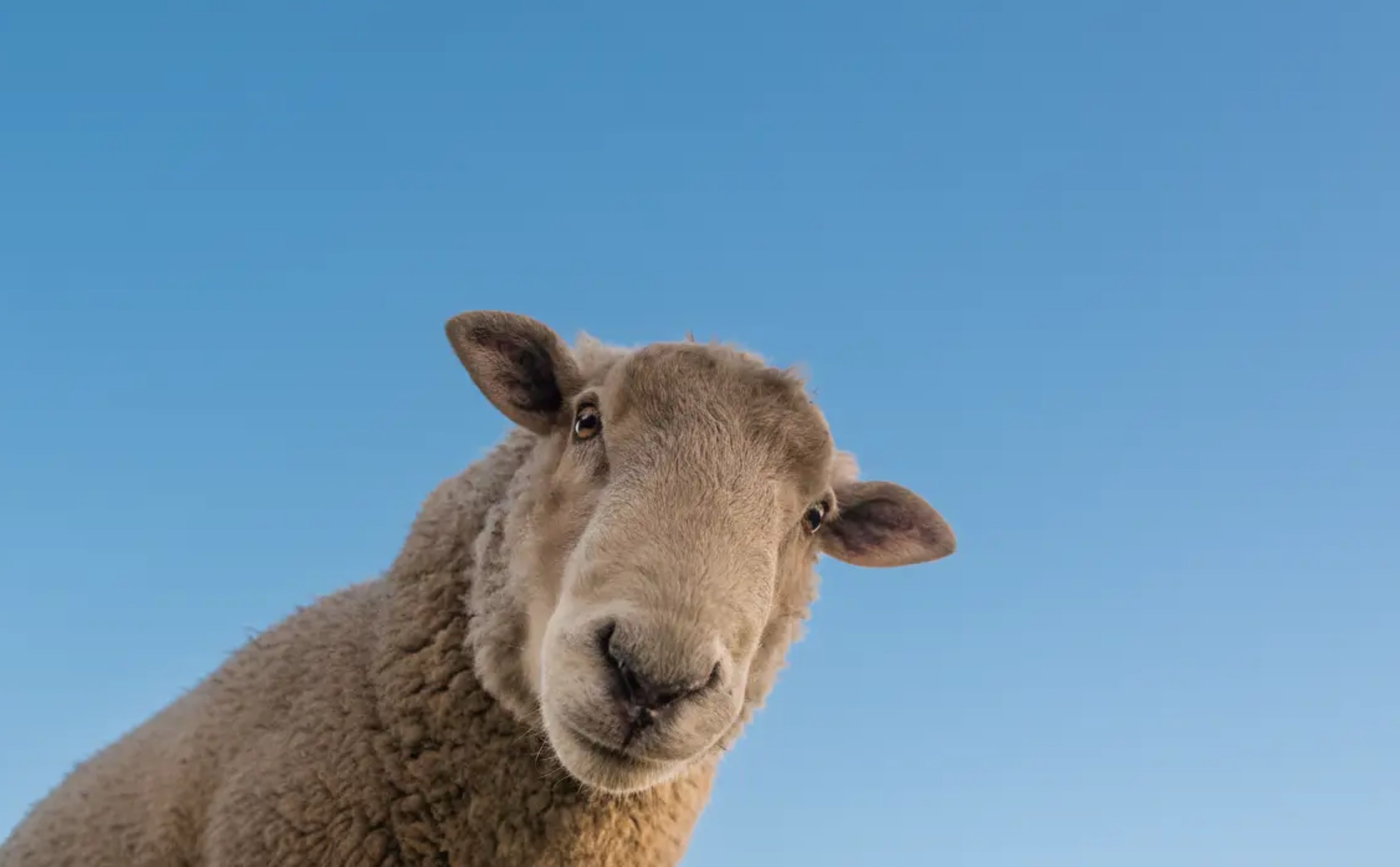 Сердце Дагестана с комфортом. Всё включено на 5 дней