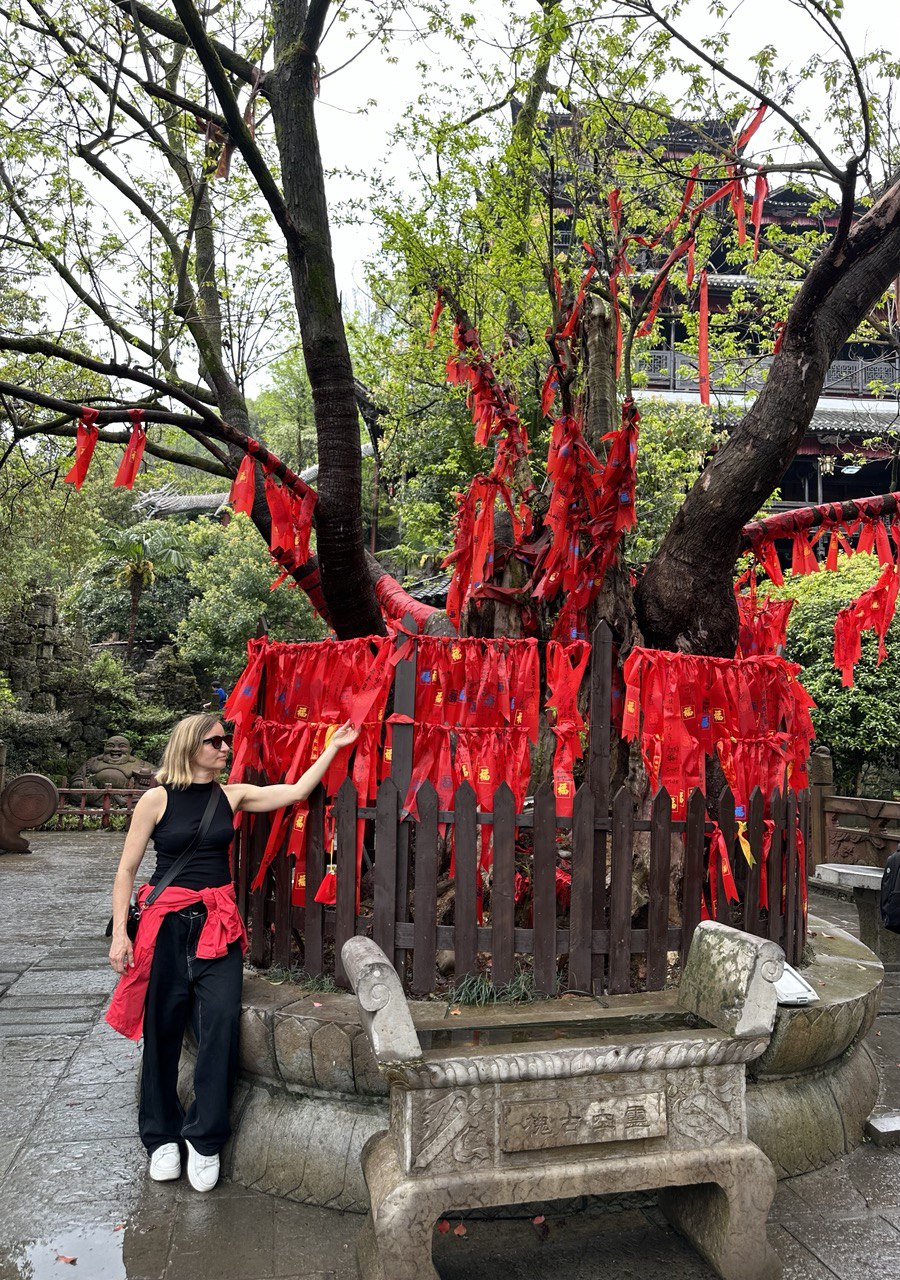 Тур на 2-4человека. Диснейленд, Парк Гарри Поттера (Студия Юниверсал) и Горы Аватара (24/39)