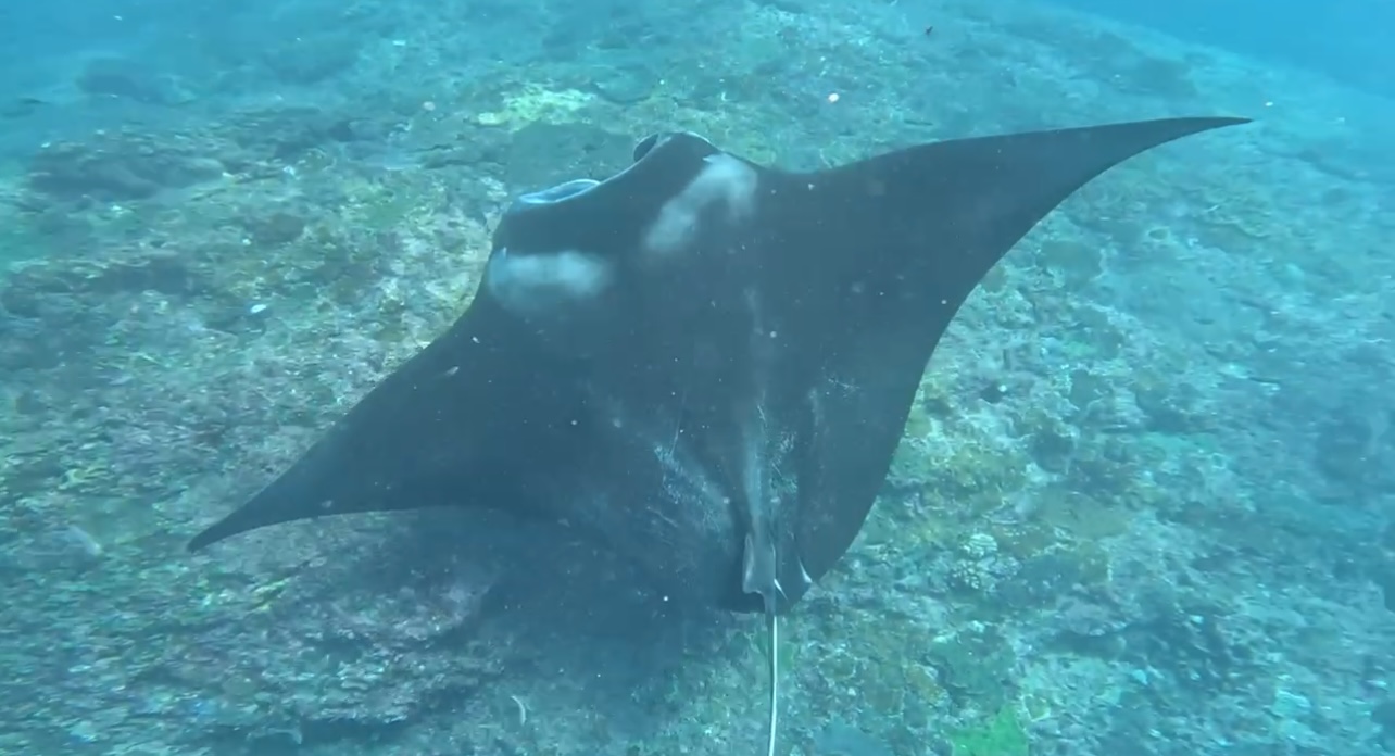 Балиспорт Плавательныйтур (21/27)