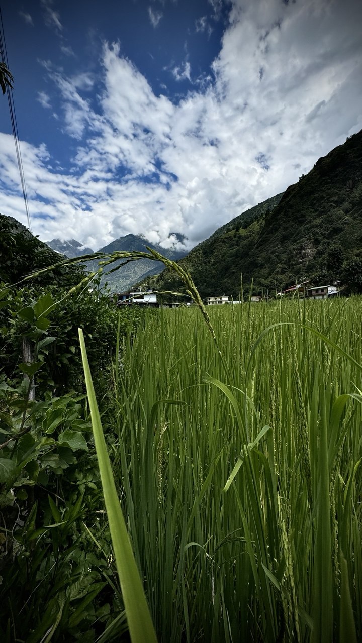 Кольцо Аннапурны и озеро Тиличо один трек, все миры. (15/17)