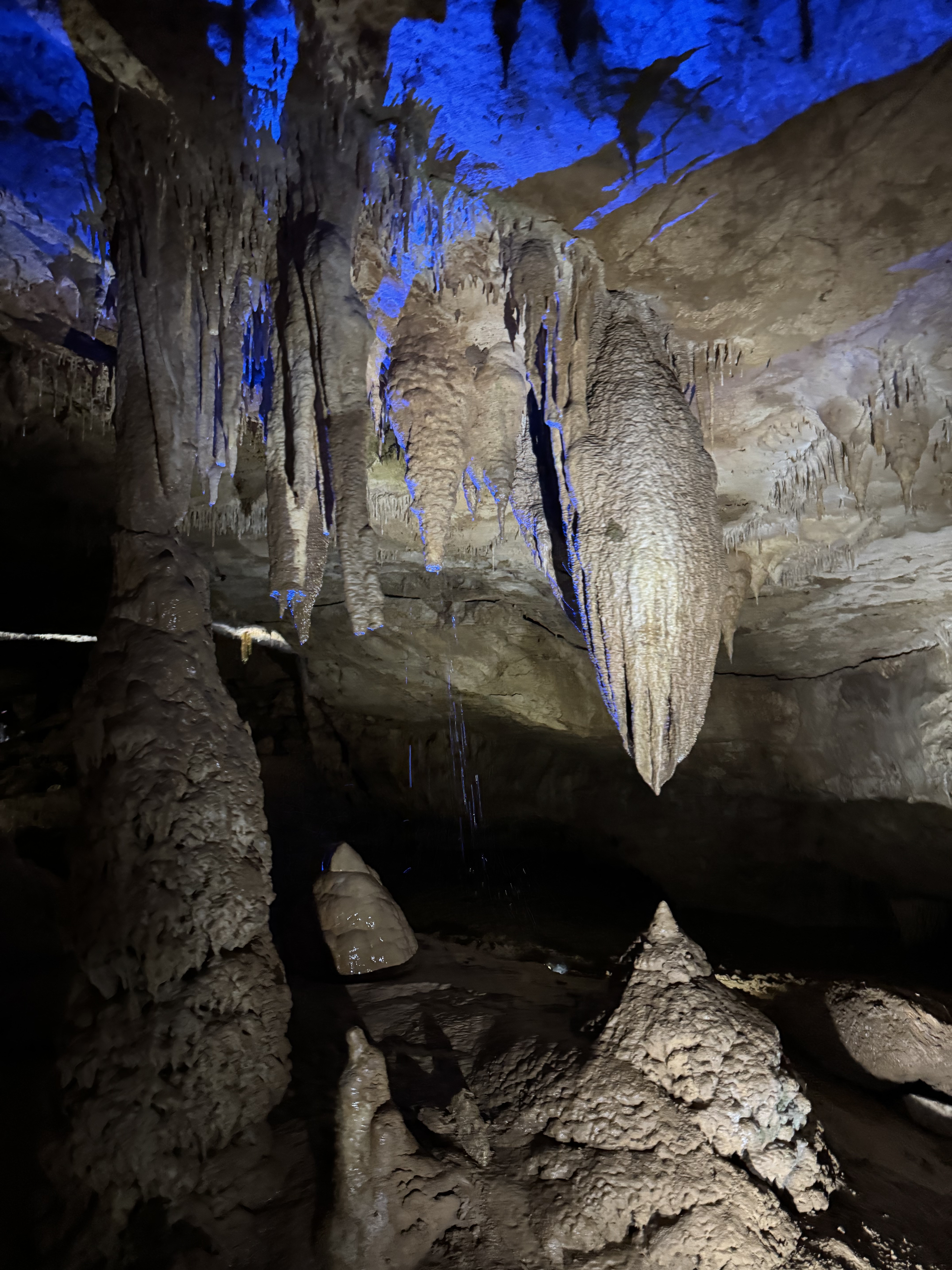 Грузинское лето: Тбилиси, Батуми + Трабзон (7 дней) (12/18)