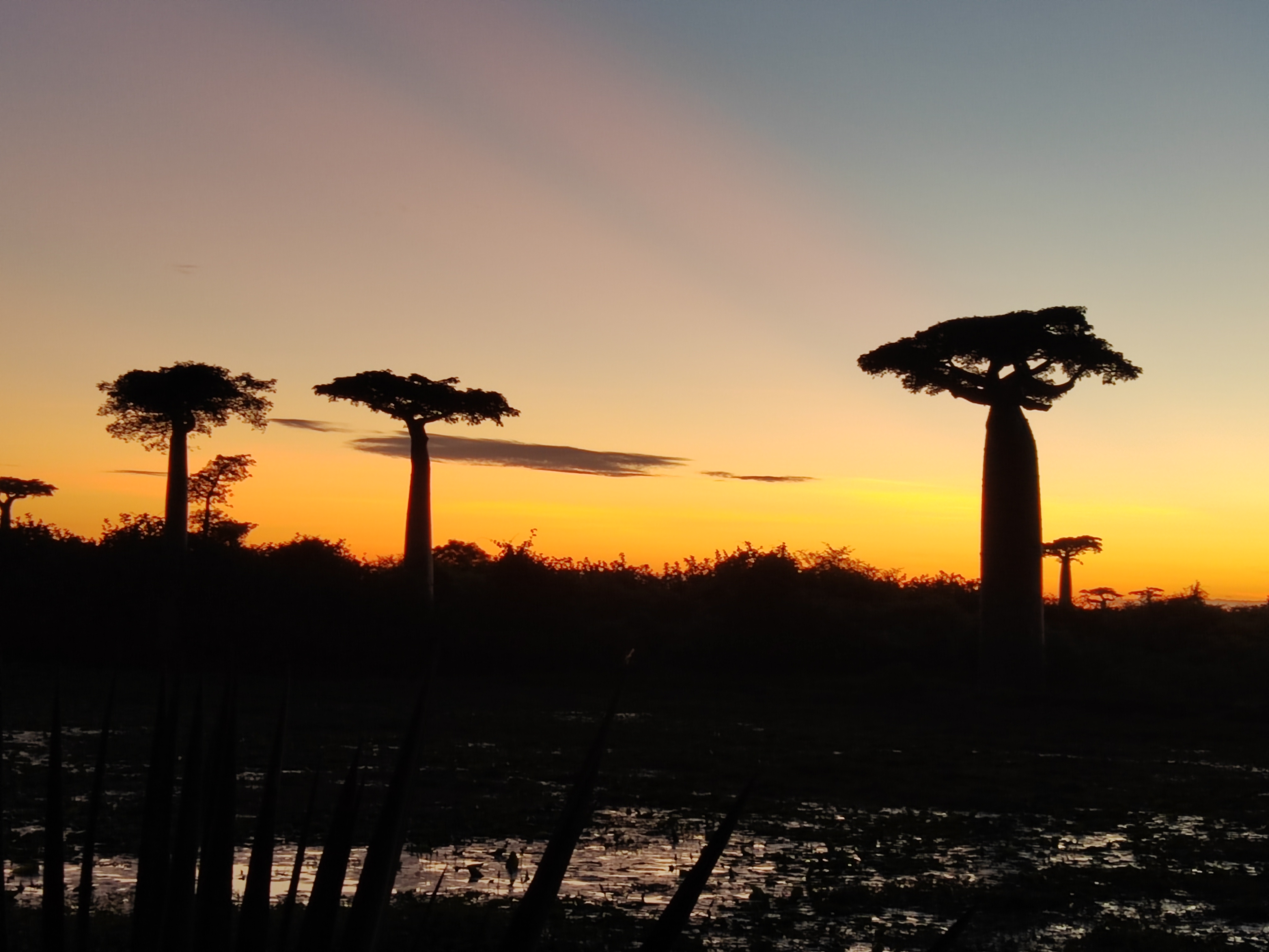 Мадагаскар: приключения на зелёном острове! Внутренние рейсы включены! (298/333)