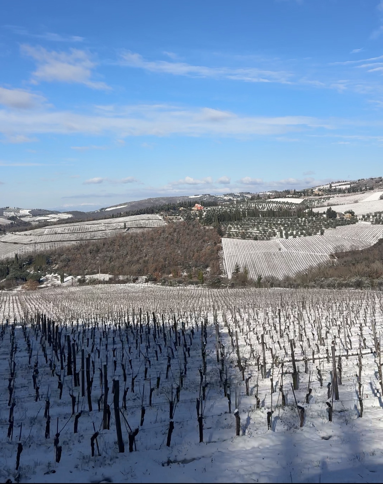 Завершения тура