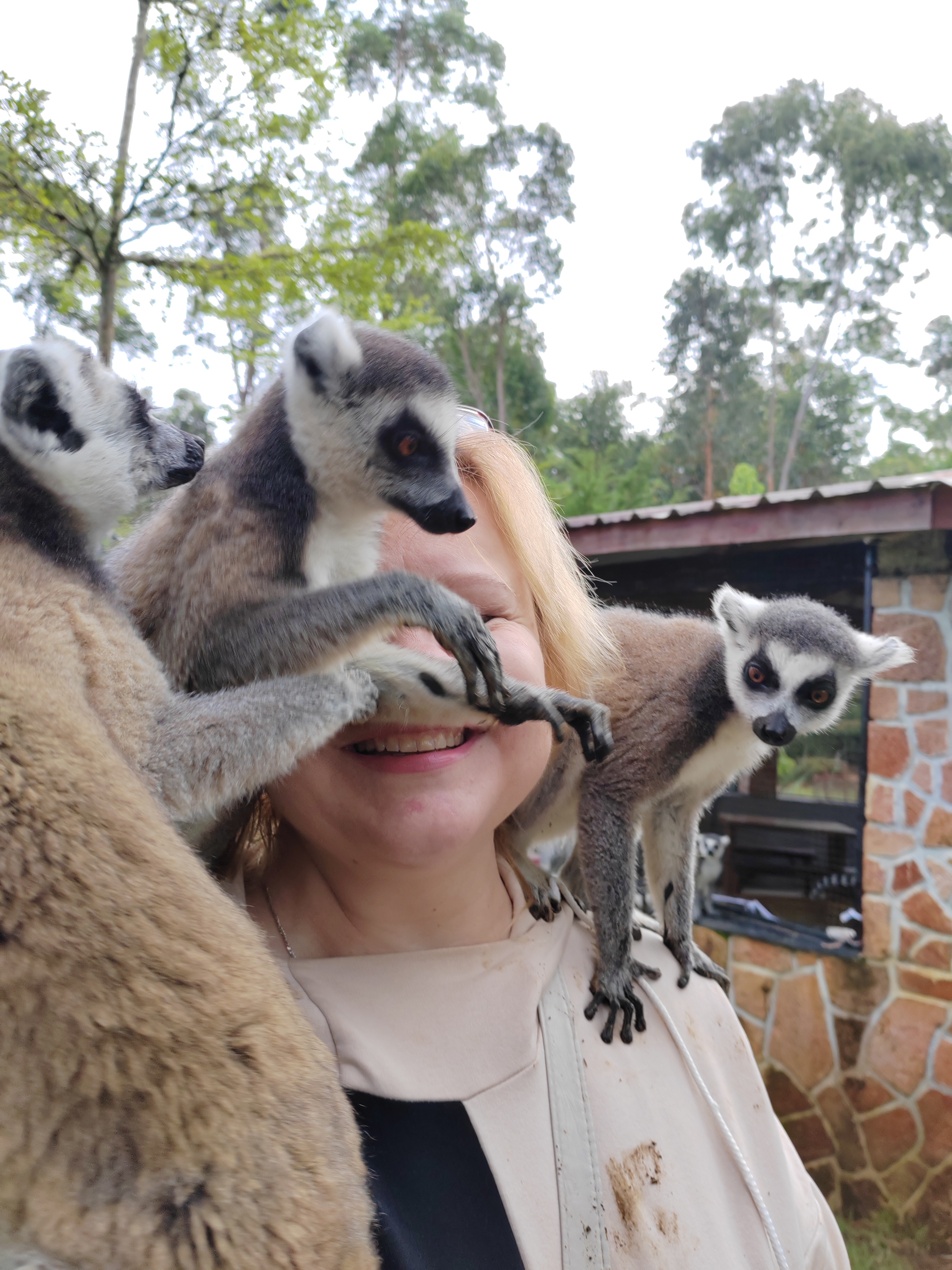 Мадагаскар: приключения на зелёном острове! Внутренние рейсы включены! (325/333)