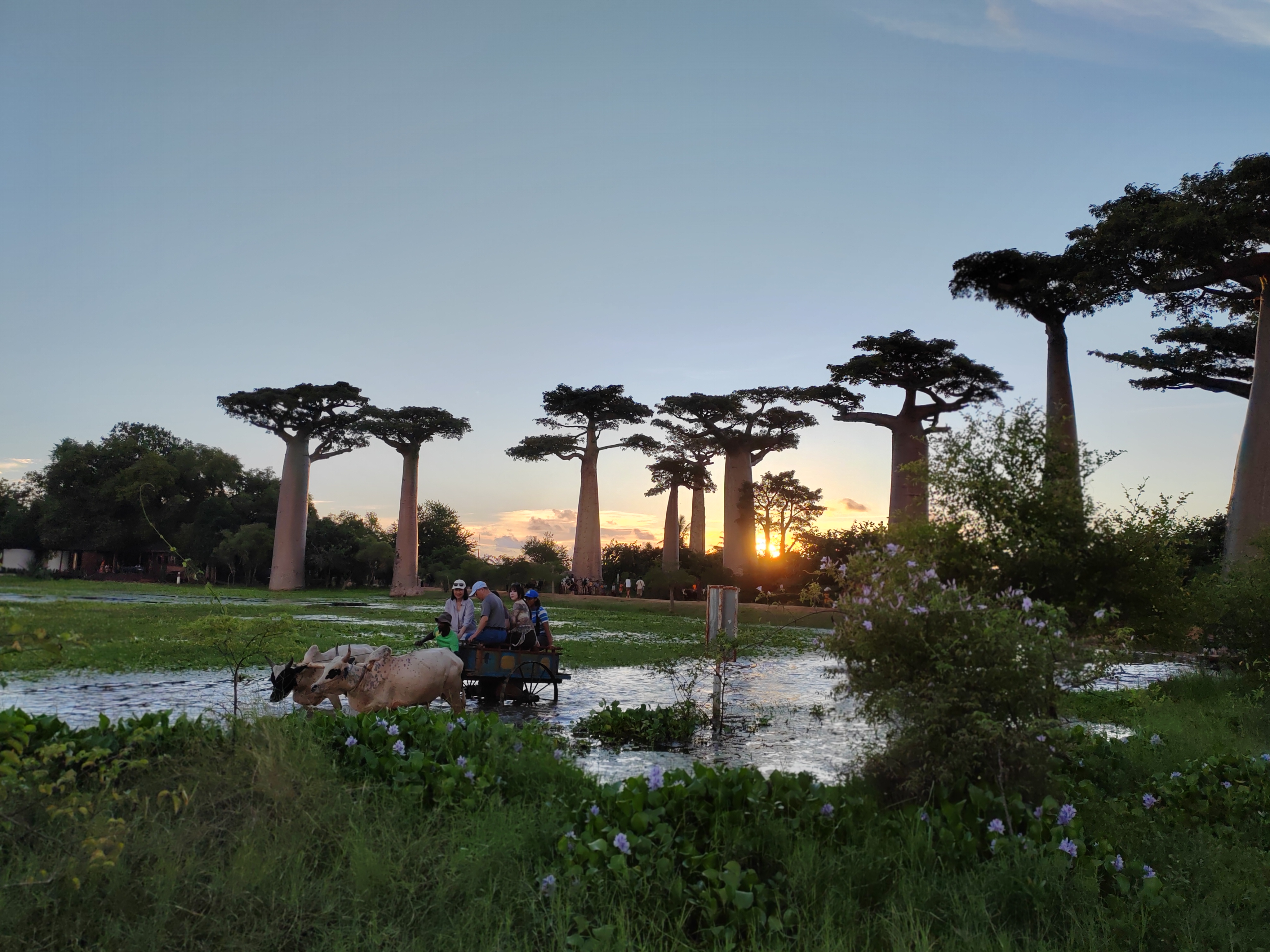 Мадагаскар: приключения на зелёном острове! Внутренние рейсы включены! (285/333)