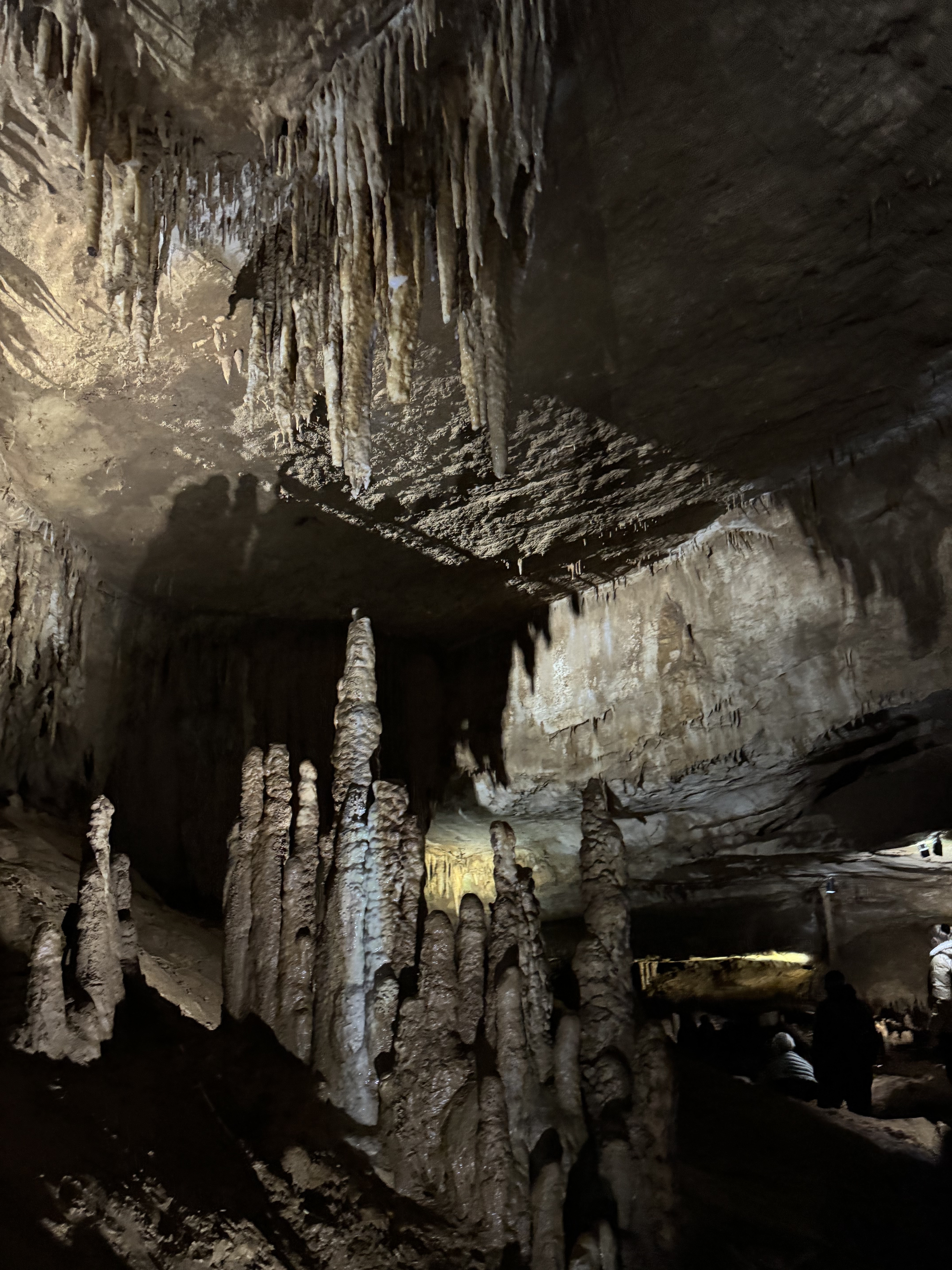 Грузинское лето: Тбилиси, Батуми + Трабзон (7 дней) (13/18)