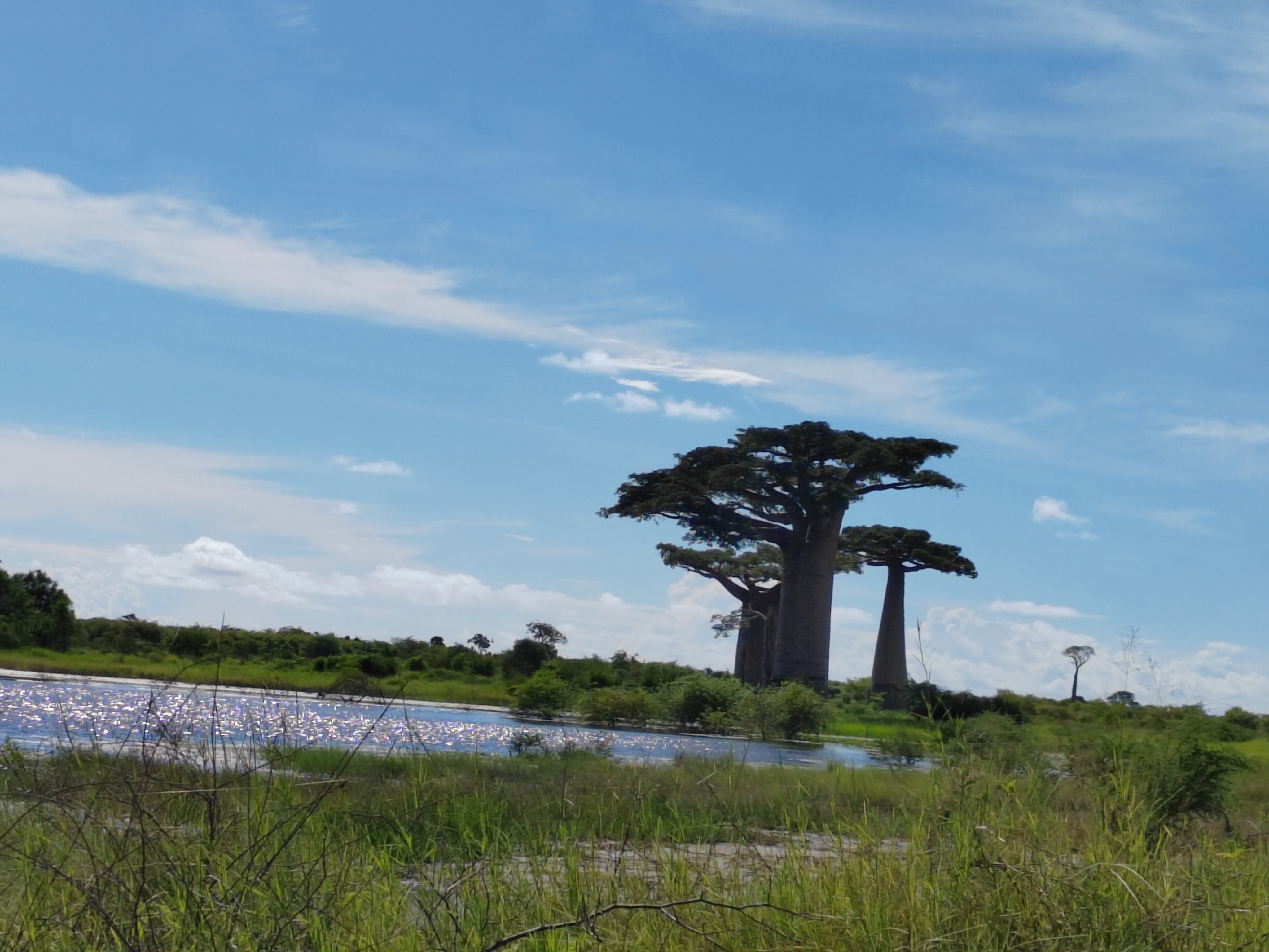 Мадагаскар: приключения на зелёном острове! Внутренние рейсы включены! (278/333)