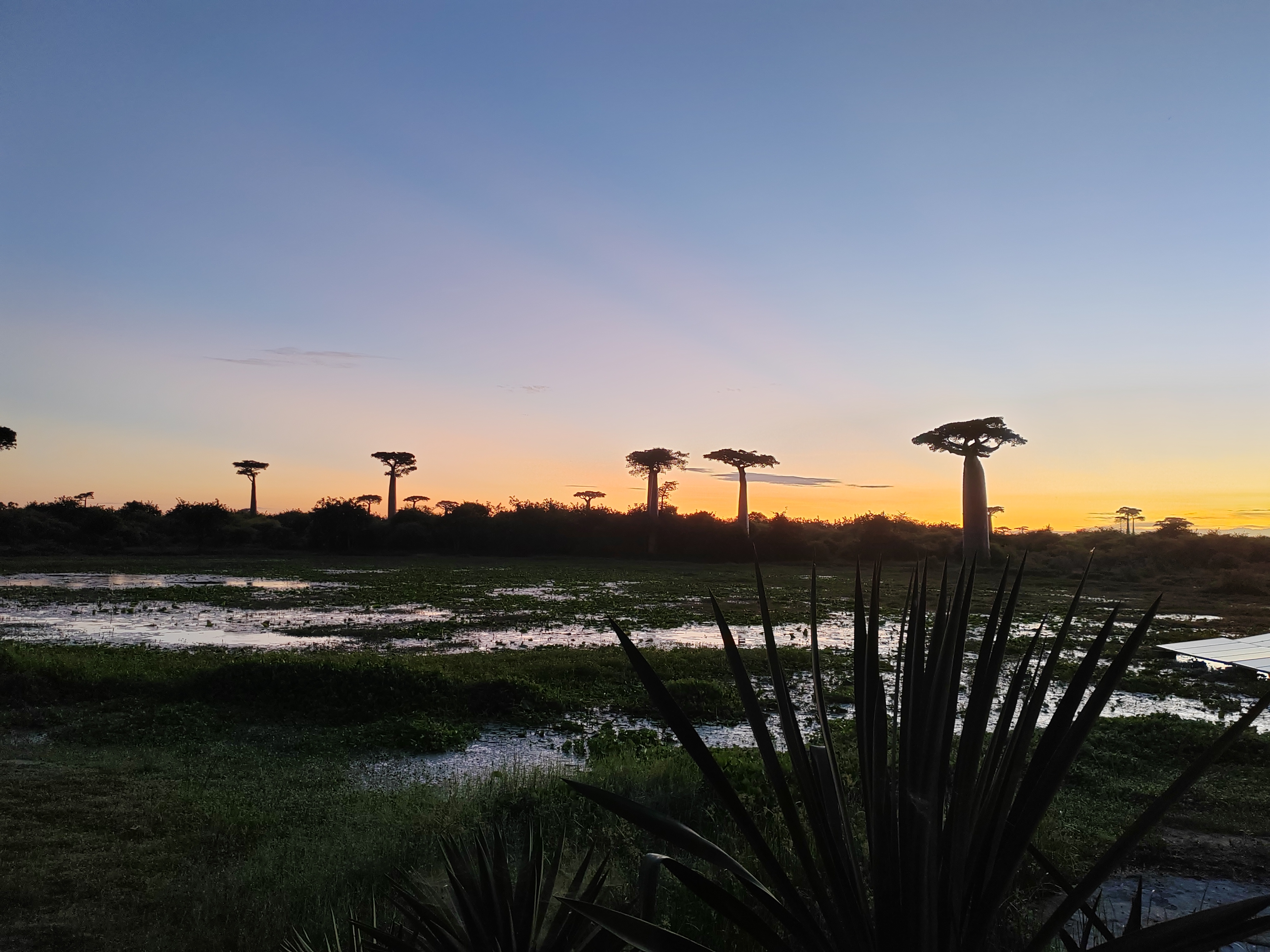 Мадагаскар: приключения на зелёном острове! Внутренние рейсы включены! (301/333)