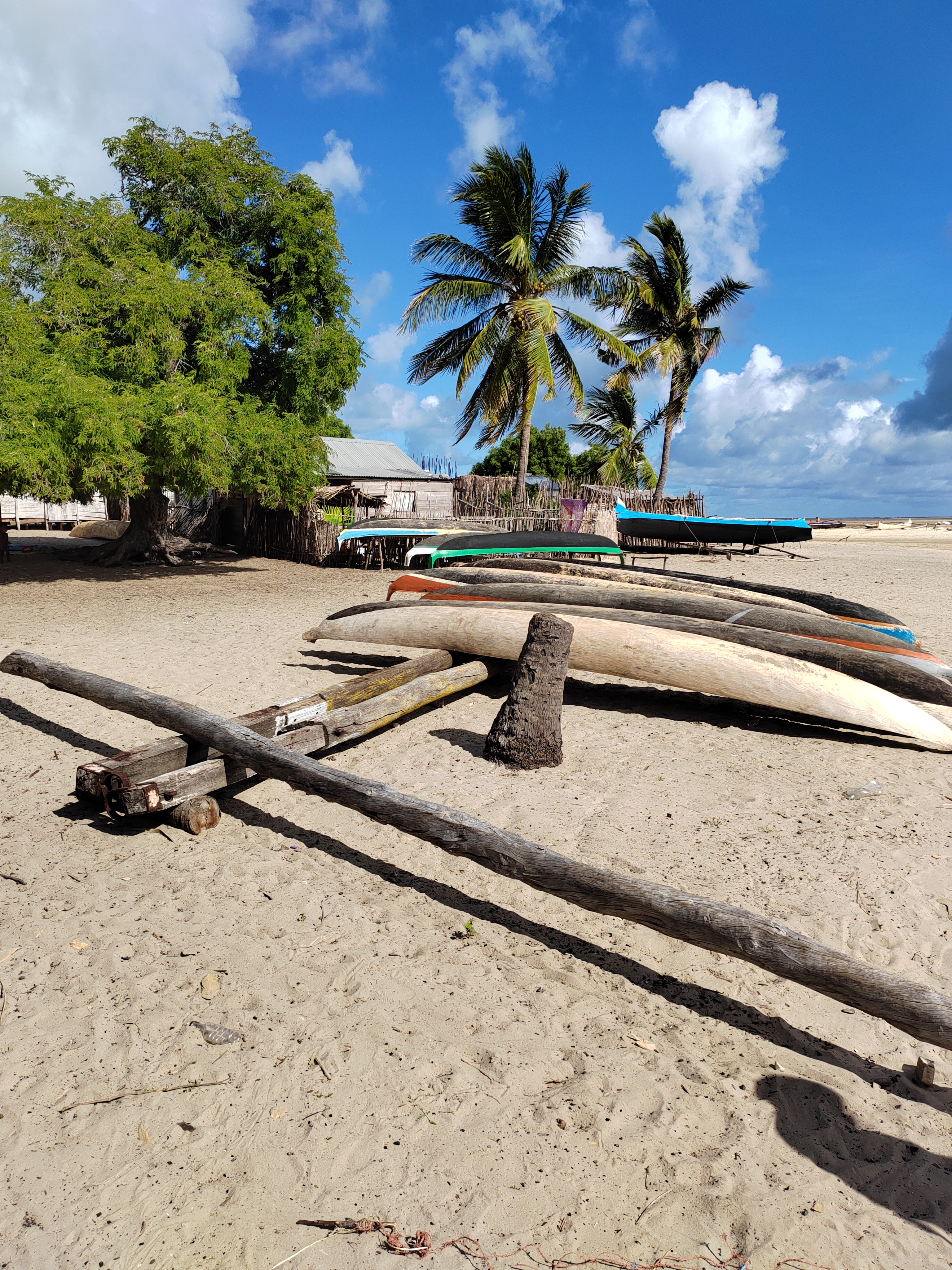 Мадагаскар: приключения на зелёном острове! Внутренние рейсы включены! (321/333)
