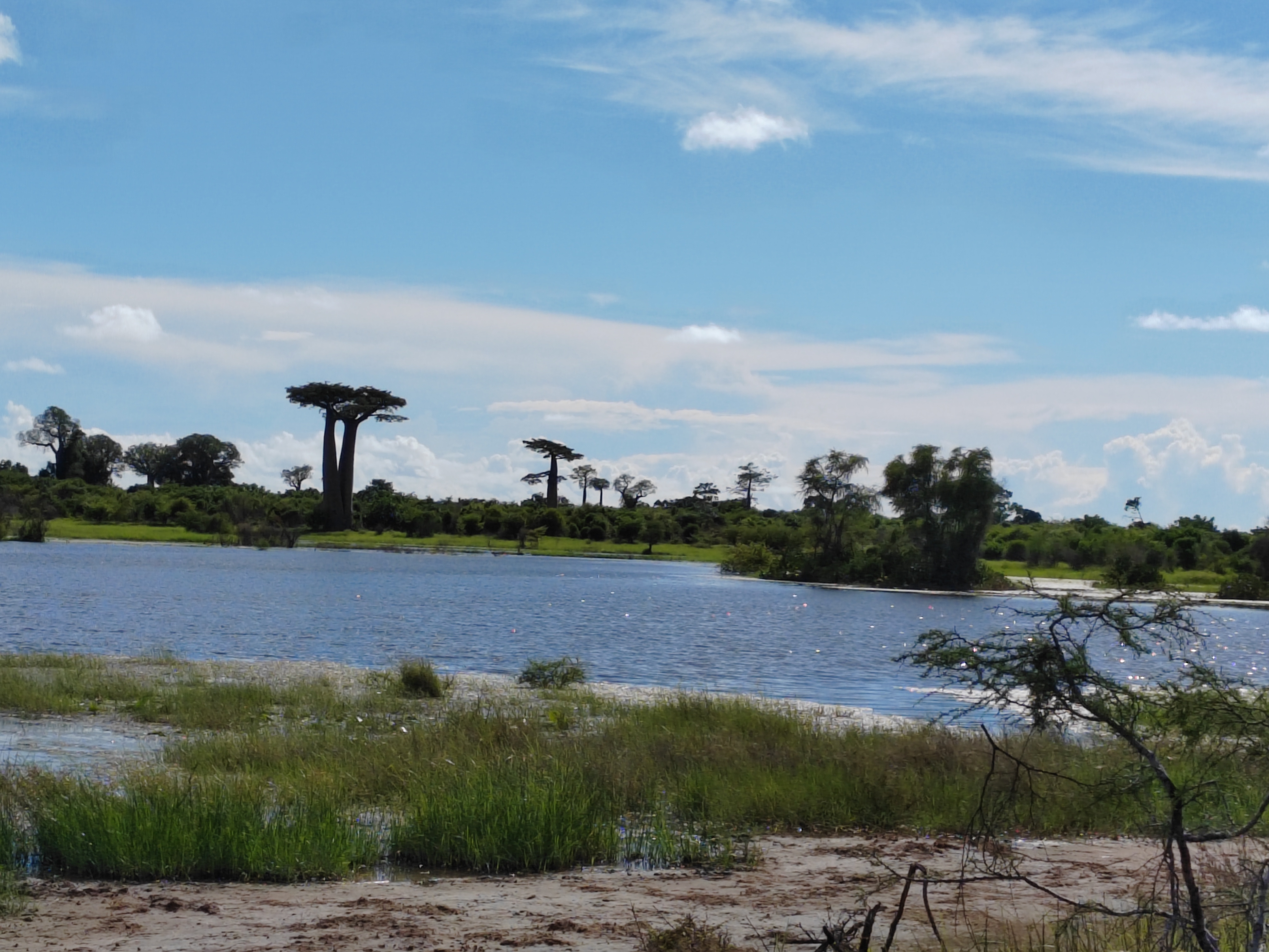 Мадагаскар: приключения на зелёном острове! Внутренние рейсы включены! (280/333)