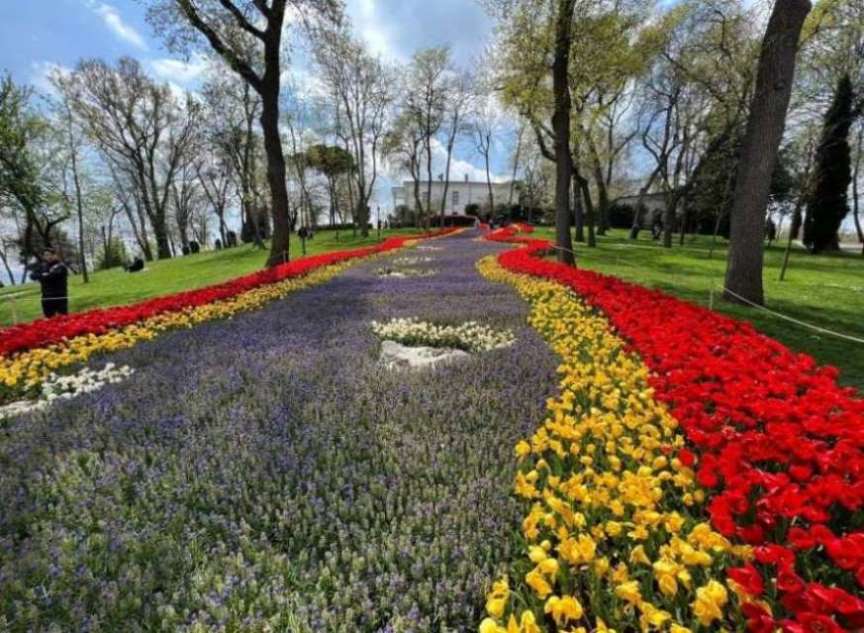 Симфония Цветов: Весеннее Путешествие по Стамбулу! (5/36)