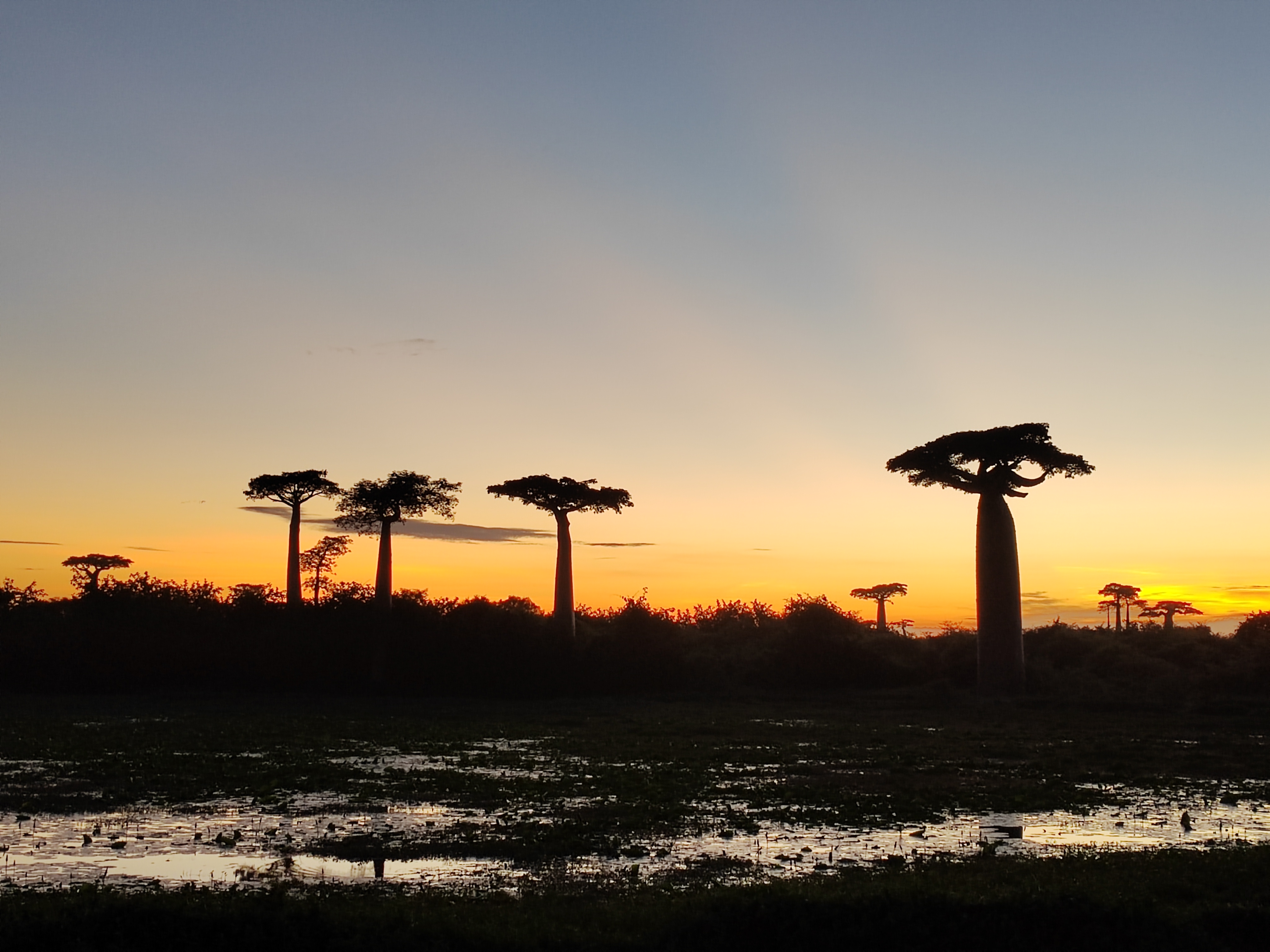 Мадагаскар: приключения на зелёном острове! Внутренние рейсы включены! (303/333)