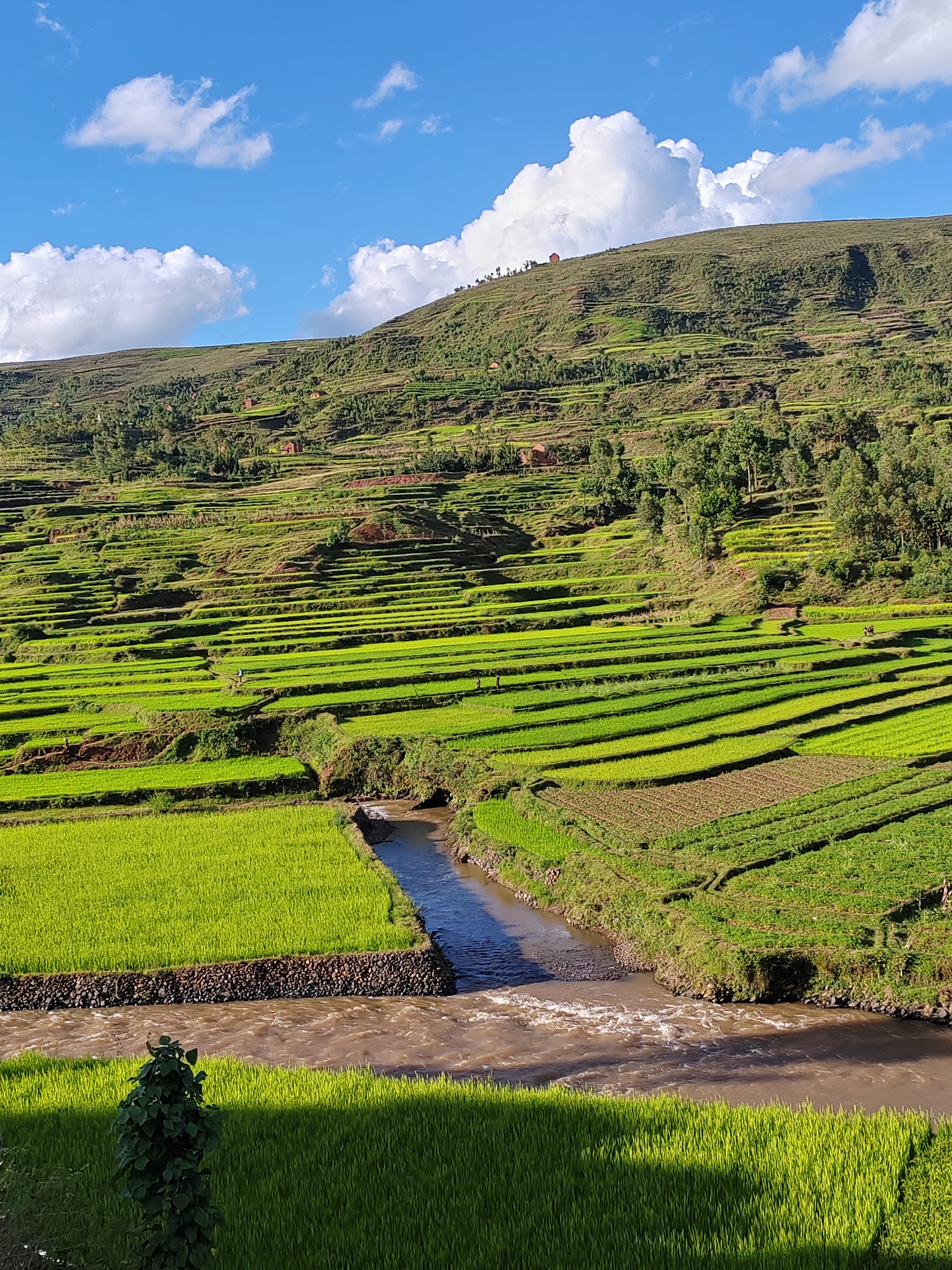 Мадагаскар: приключения на зелёном острове! Внутренние рейсы включены! (205/333)