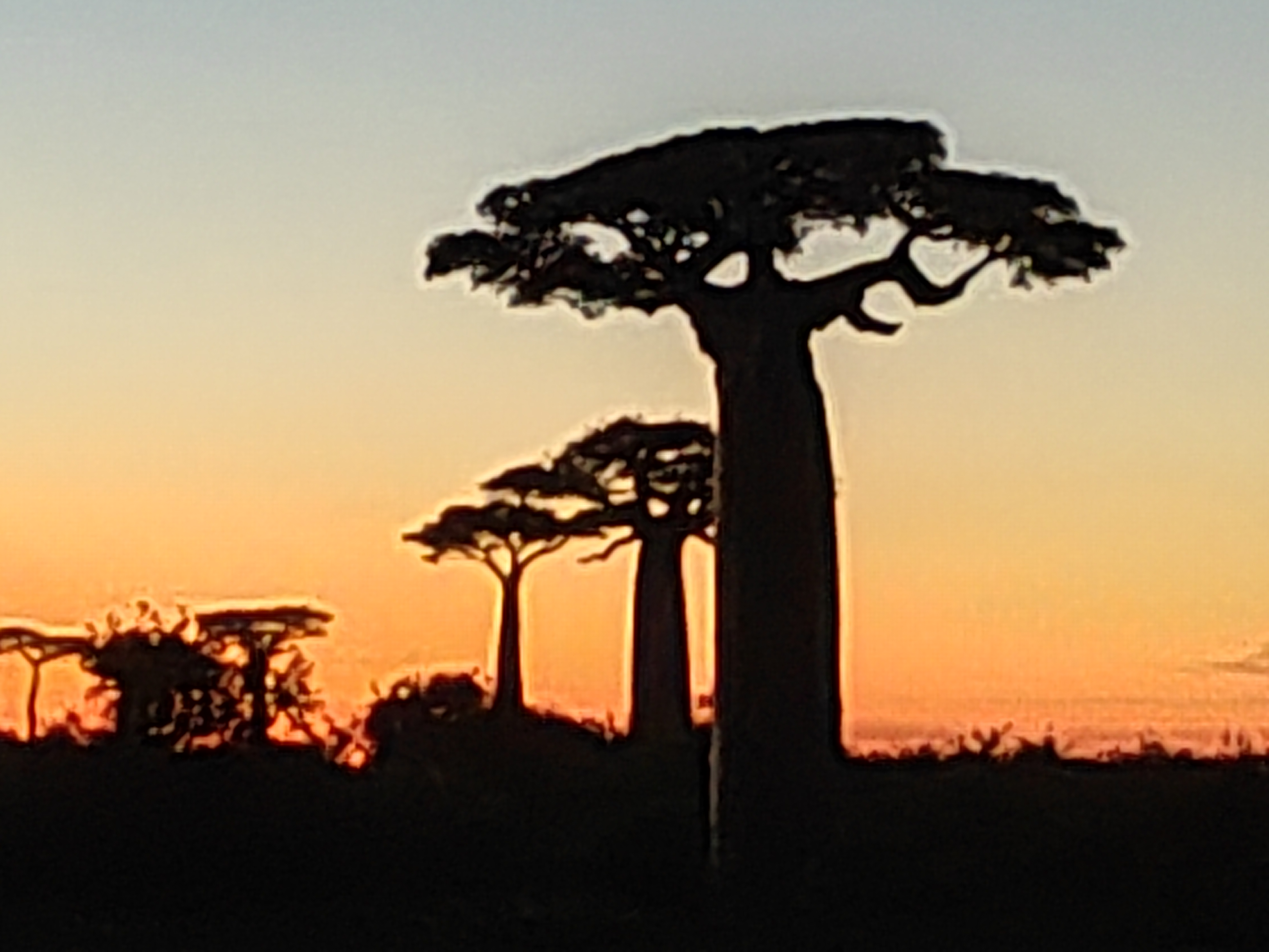 Мадагаскар: приключения на зелёном острове! Внутренние рейсы включены! (294/333)