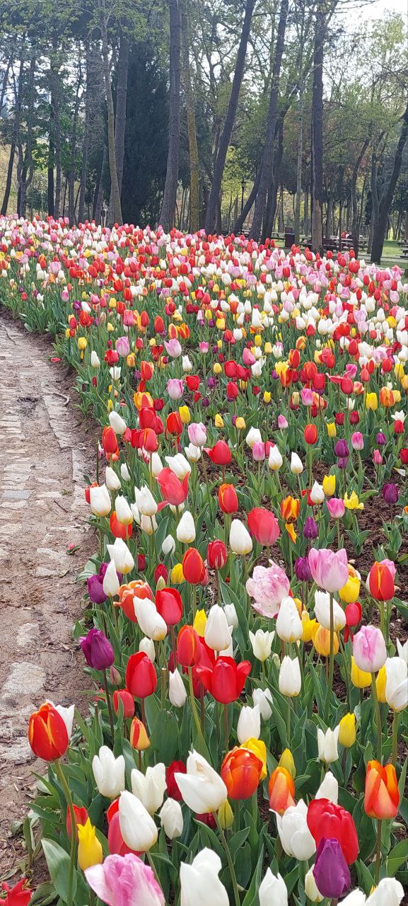 Знакомство Со Стамбулом