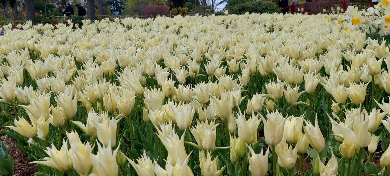 Добро Пожаловать в Стамбул