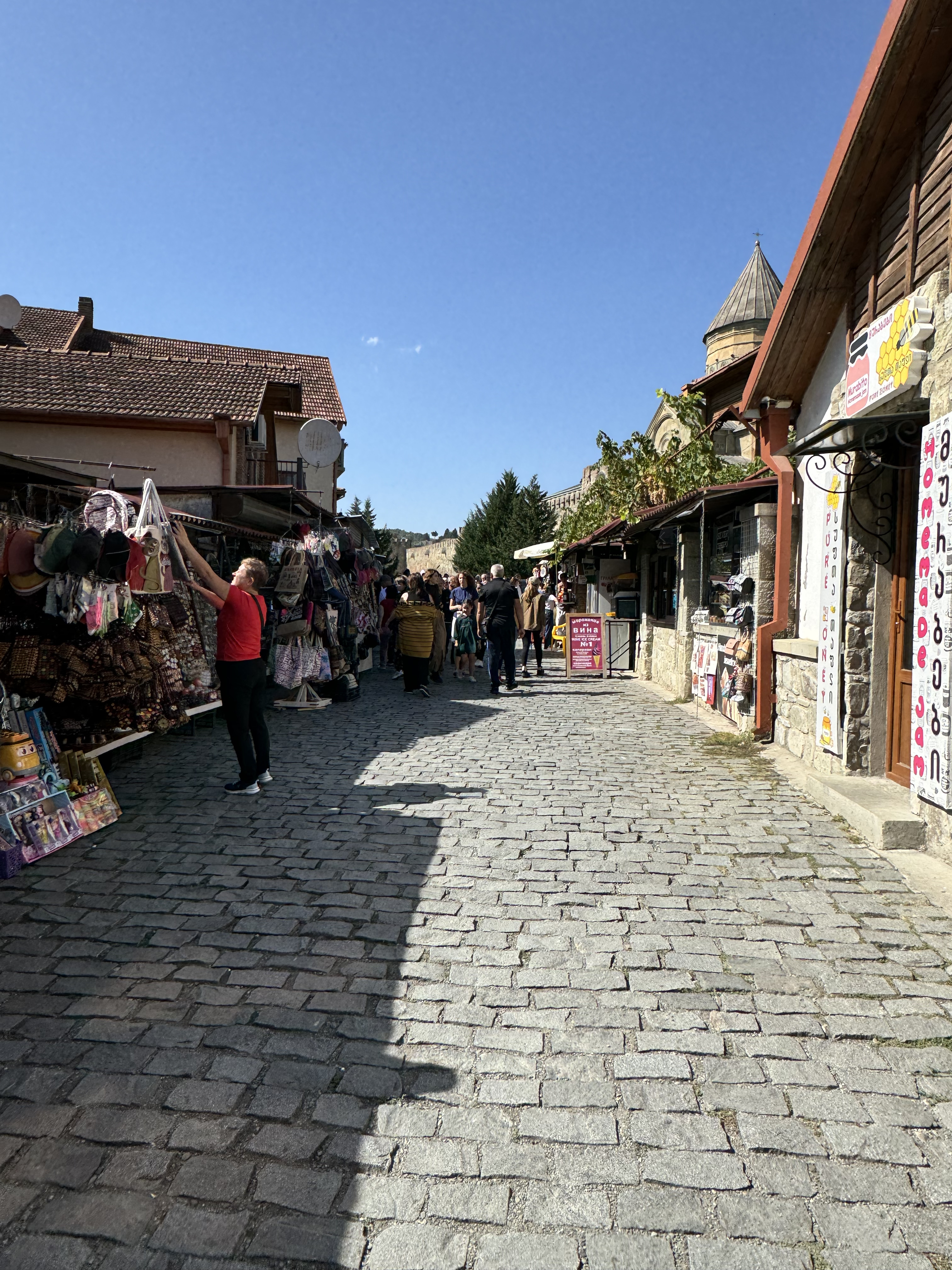 Грузинское лето: Тбилиси, Батуми + Трабзон (7 дней) (18/18)