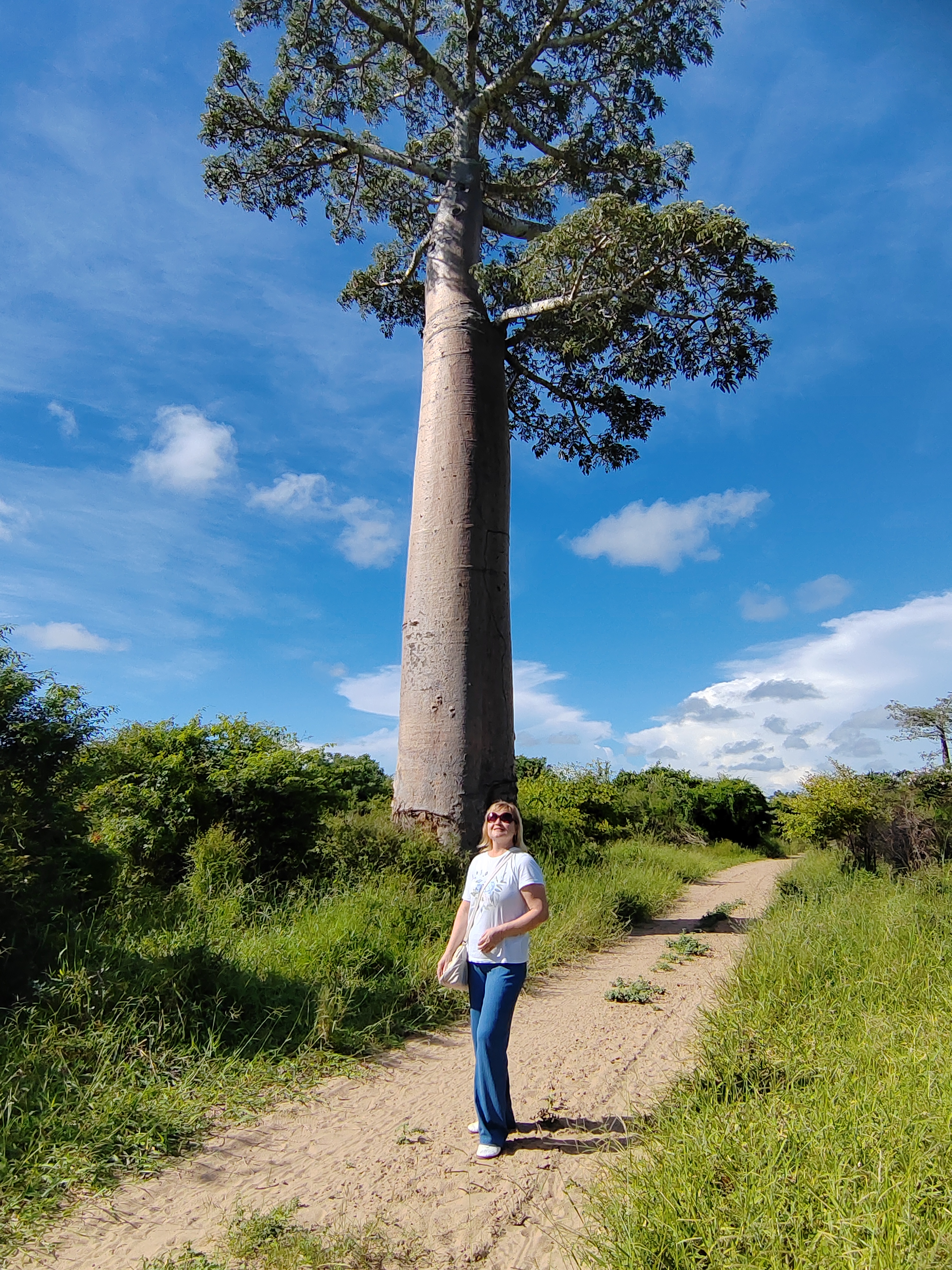 Мадагаскар: приключения на зелёном острове! Внутренние рейсы включены! (281/333)
