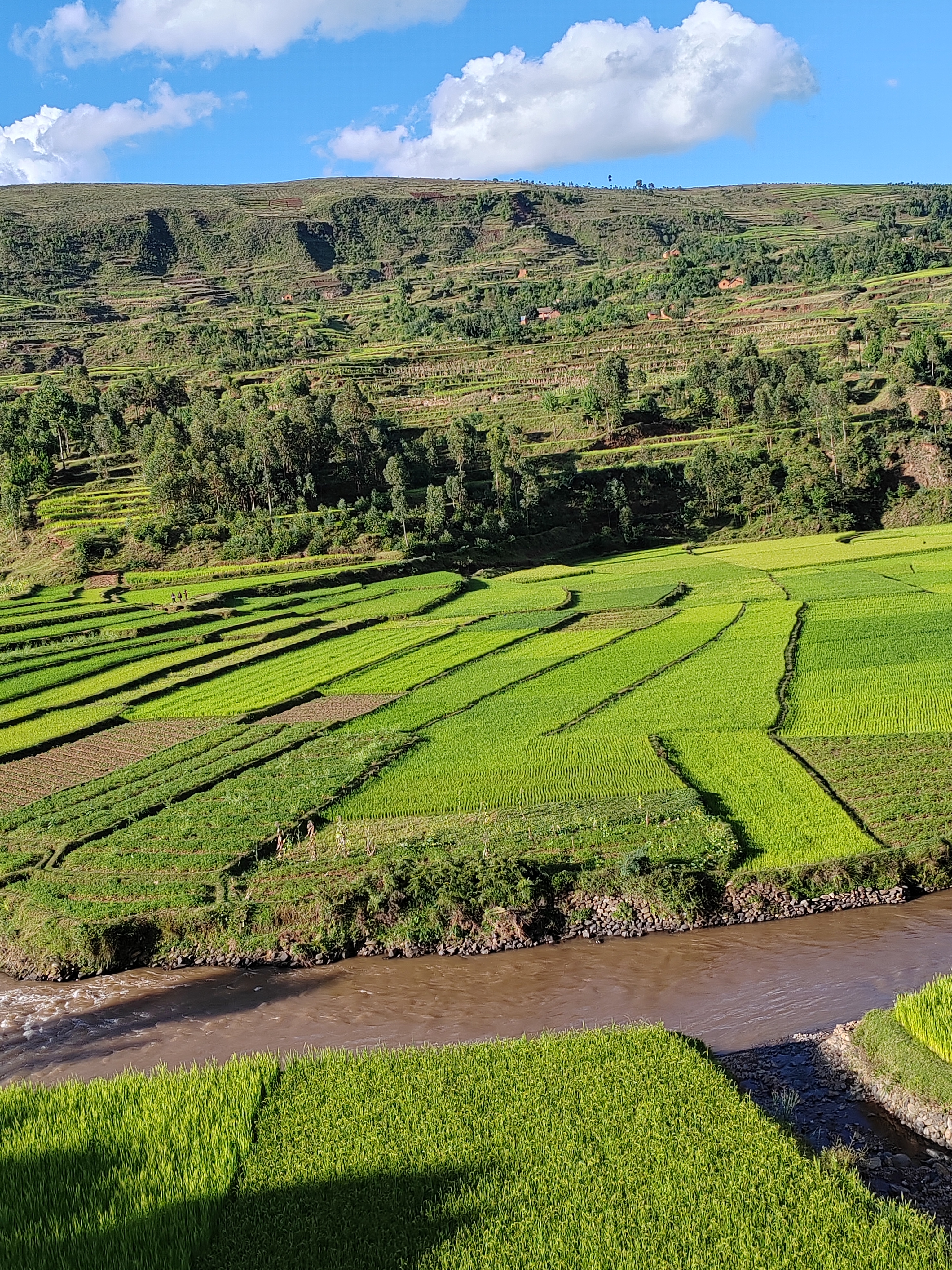 Мадагаскар: приключения на зелёном острове! Внутренние рейсы включены! (207/333)