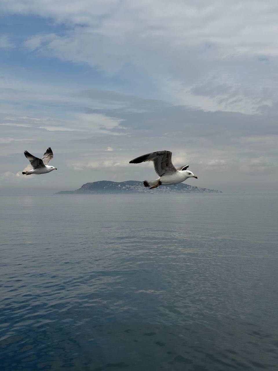 Симфония Цветов: Весеннее Путешествие по Стамбулу! (20/36)