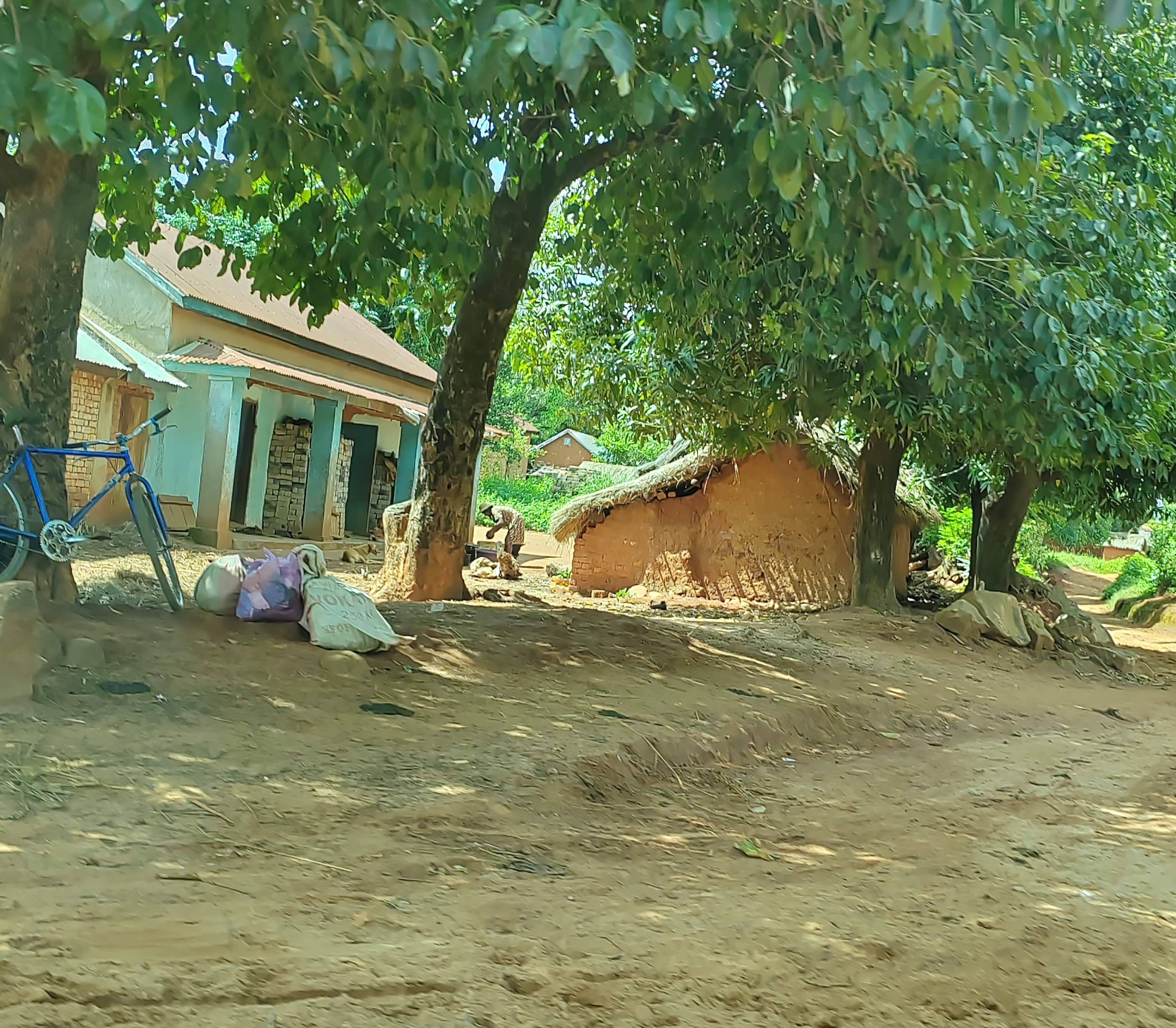 Мадагаскар: приключения на зелёном острове! Внутренние рейсы включены! (315/333)