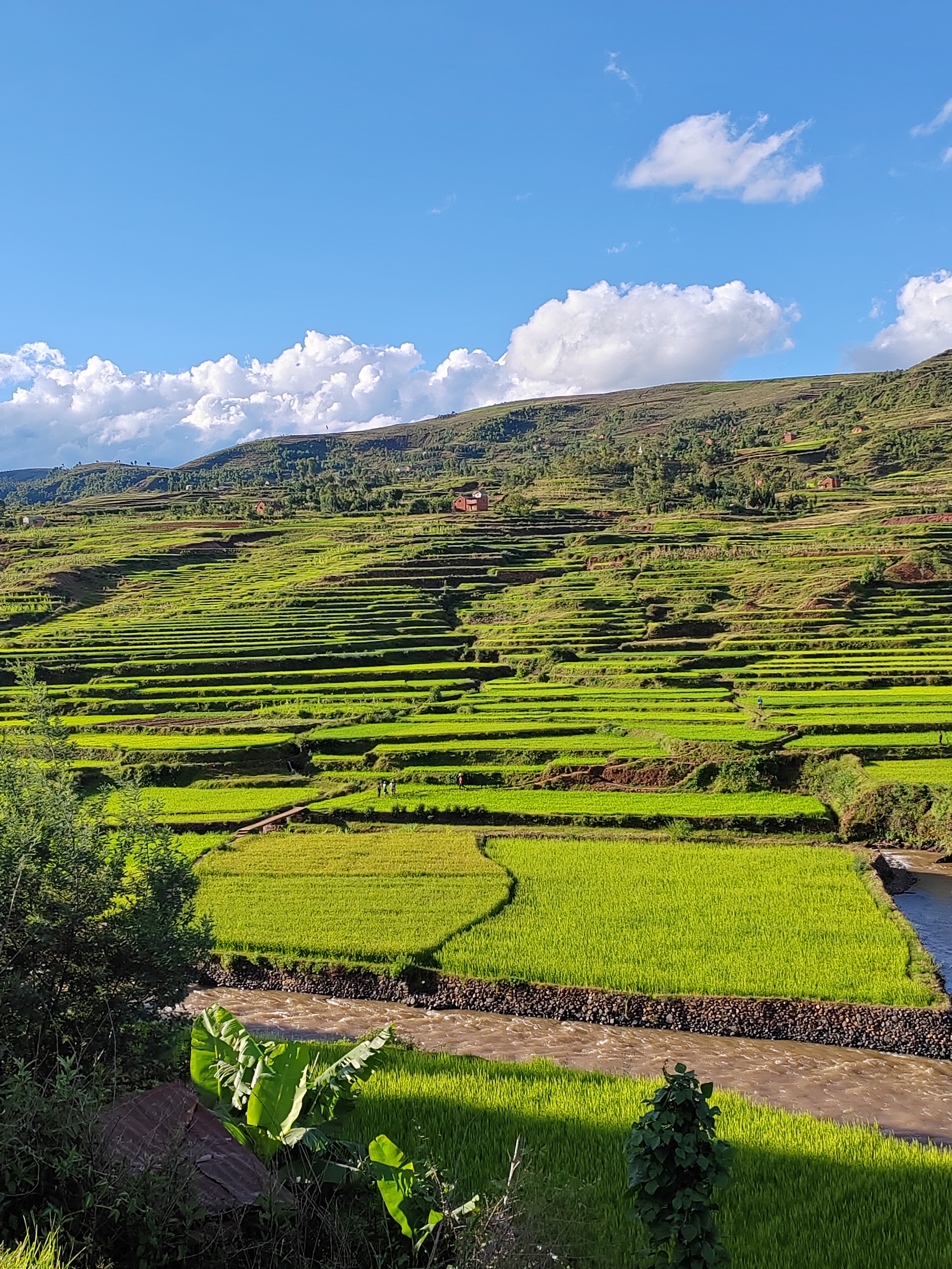 Мадагаскар: приключения на зелёном острове! Внутренние рейсы включены! (209/333)