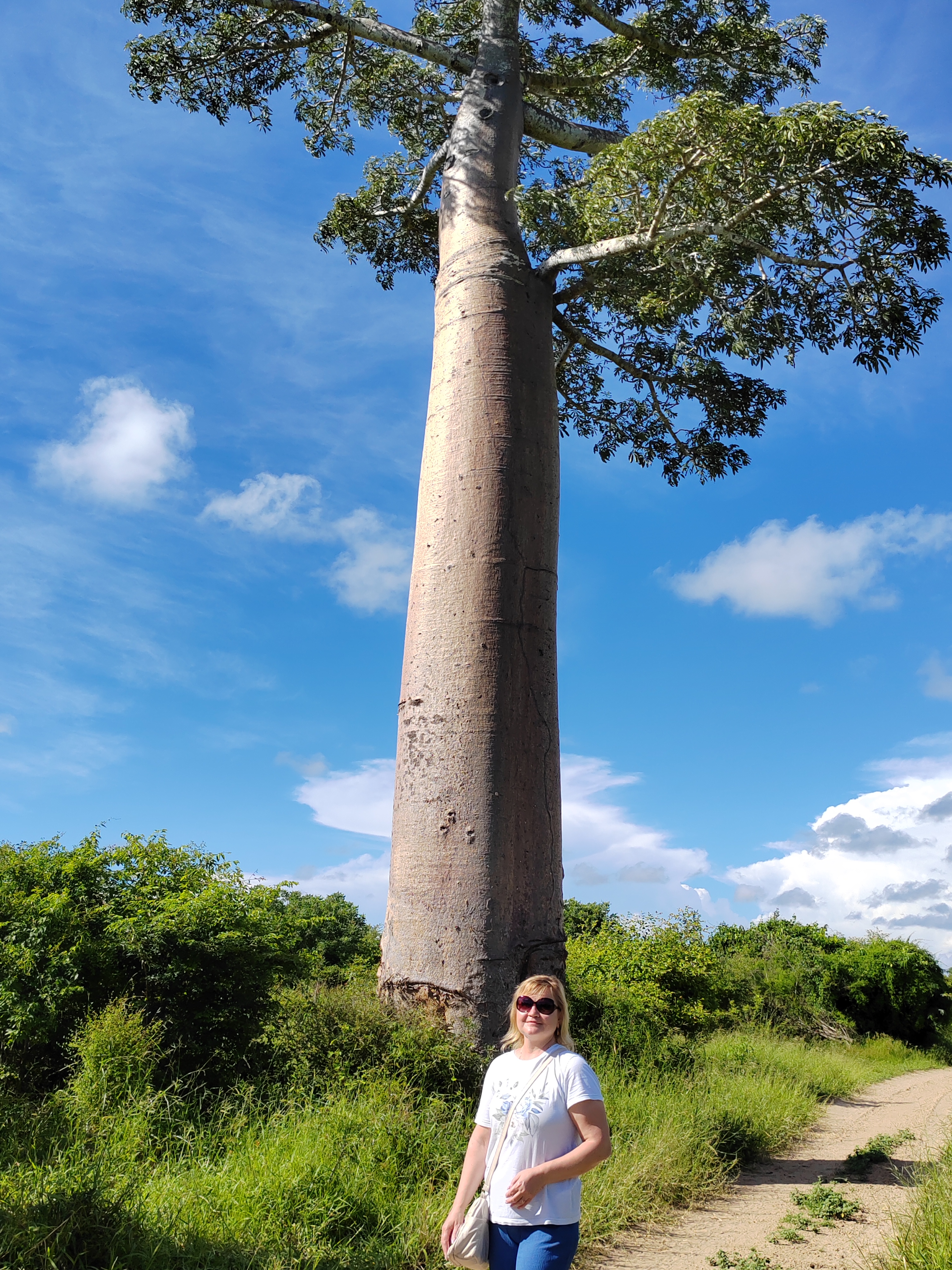 Мадагаскар: приключения на зелёном острове! Внутренние рейсы включены! (283/333)