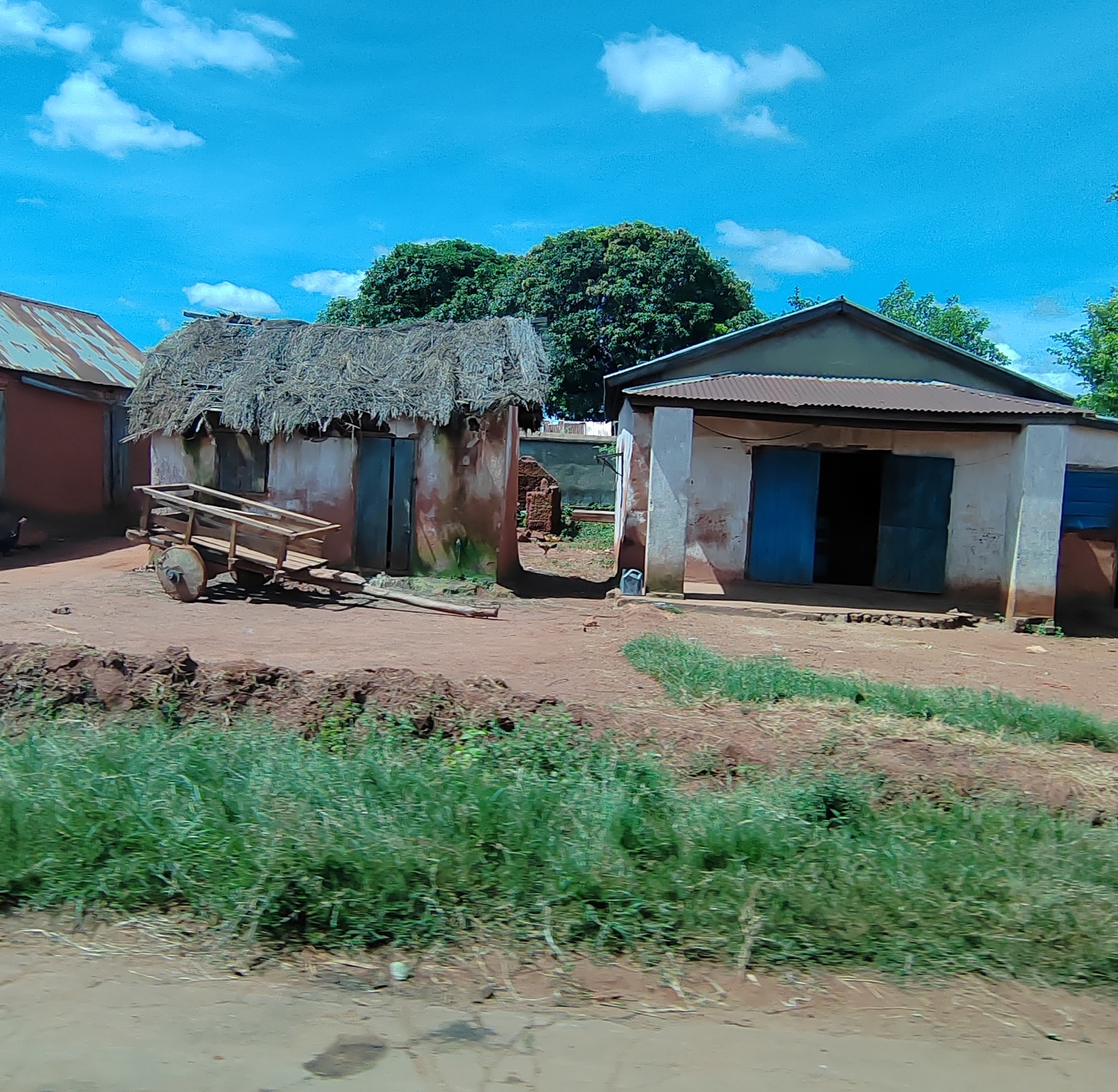 Мадагаскар: приключения на зелёном острове! Внутренние рейсы включены! (313/333)
