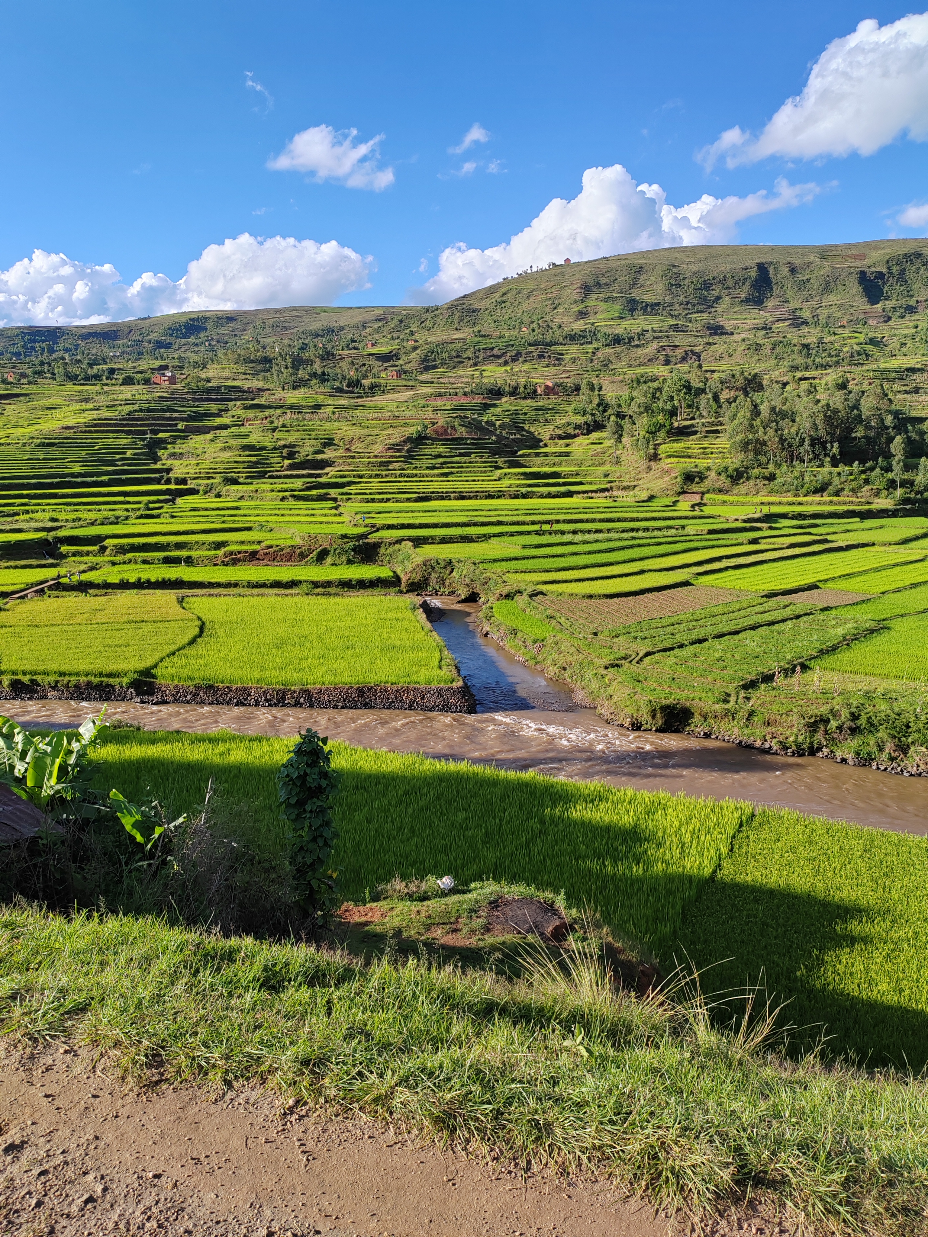 Мадагаскар: приключения на зелёном острове! Внутренние рейсы включены! (203/333)