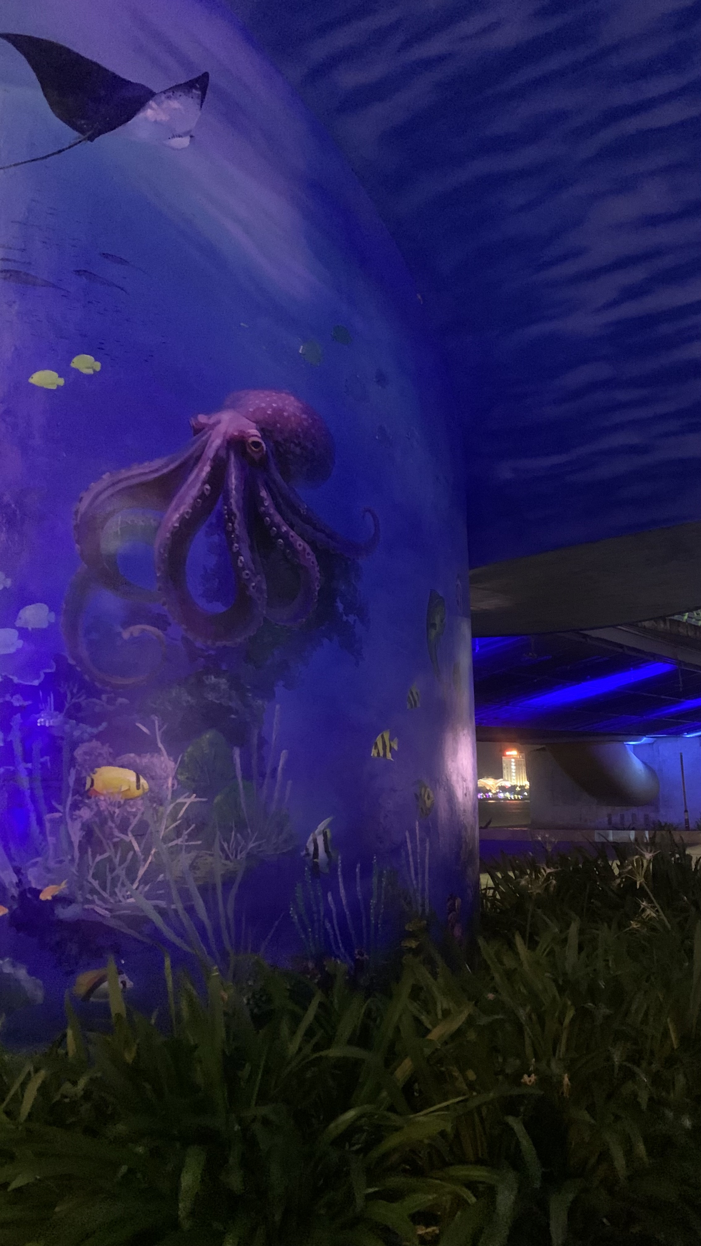 Вьетнам Хой Ан - страна солнца (10/15)