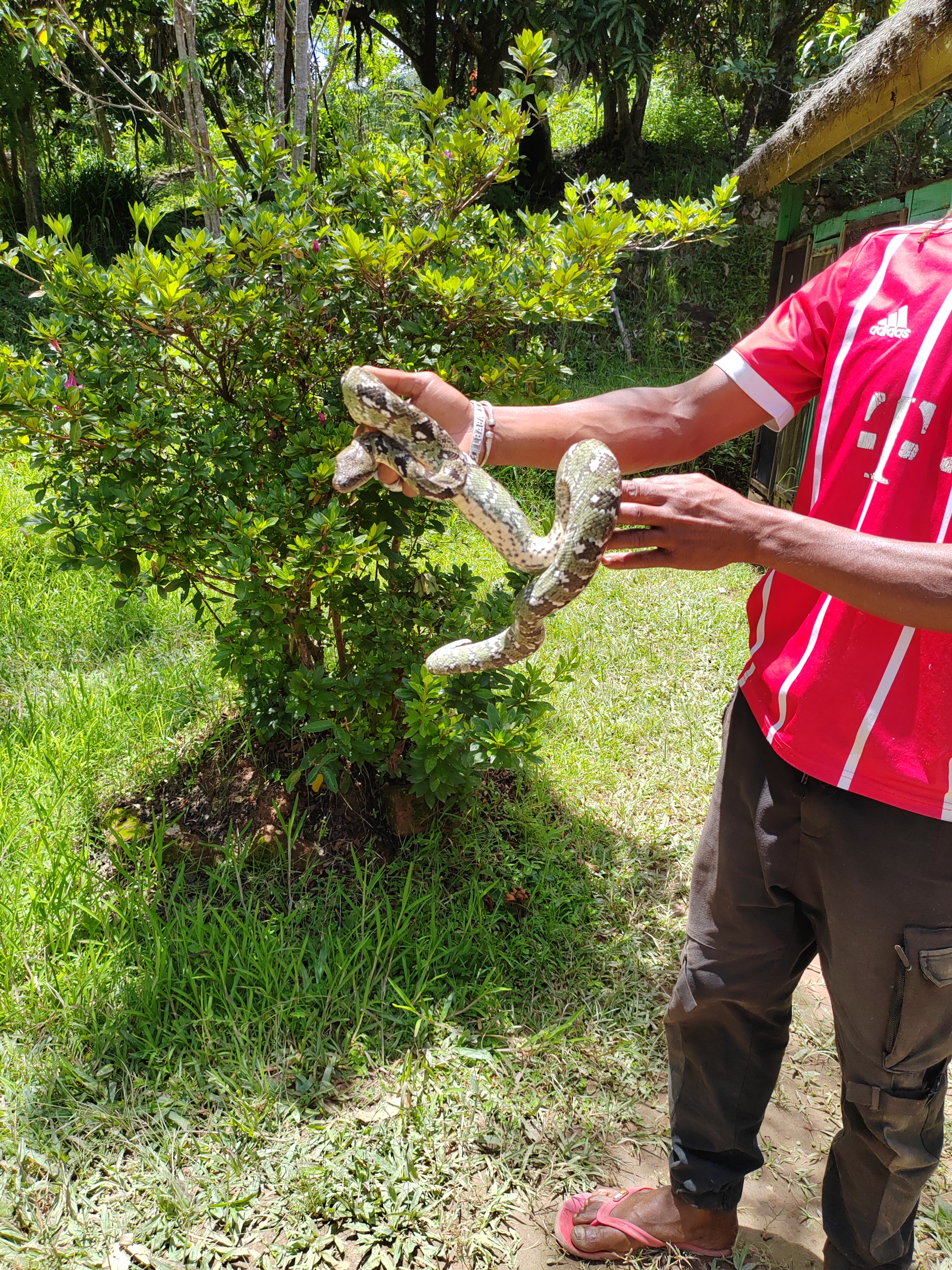 Мадагаскар: приключения на зелёном острове! Внутренние рейсы включены! (53/333)