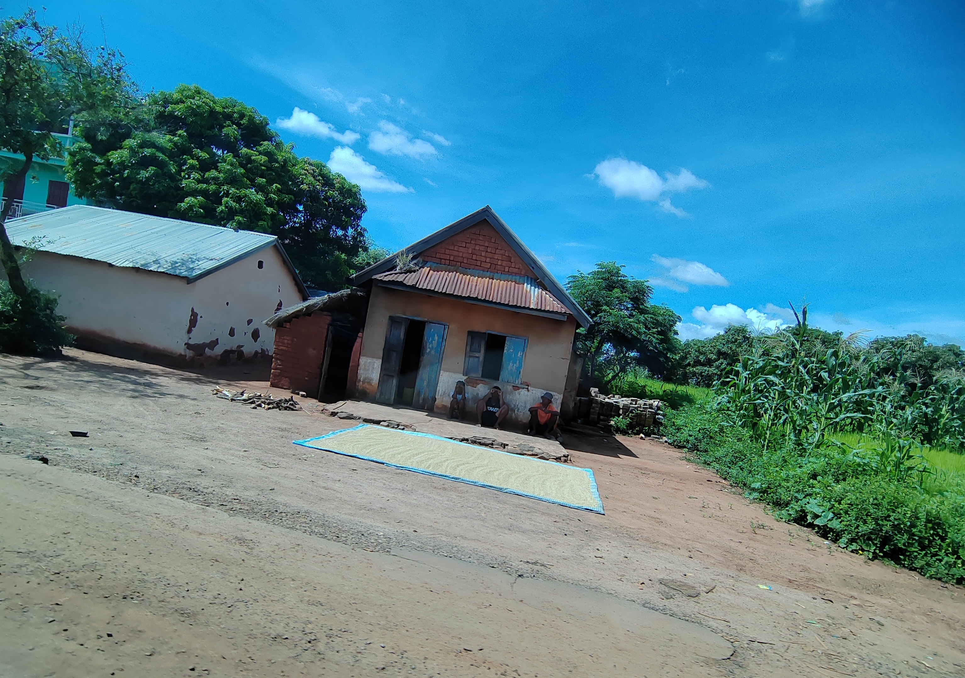 Мадагаскар: приключения на зелёном острове! Внутренние рейсы включены! (131/333)