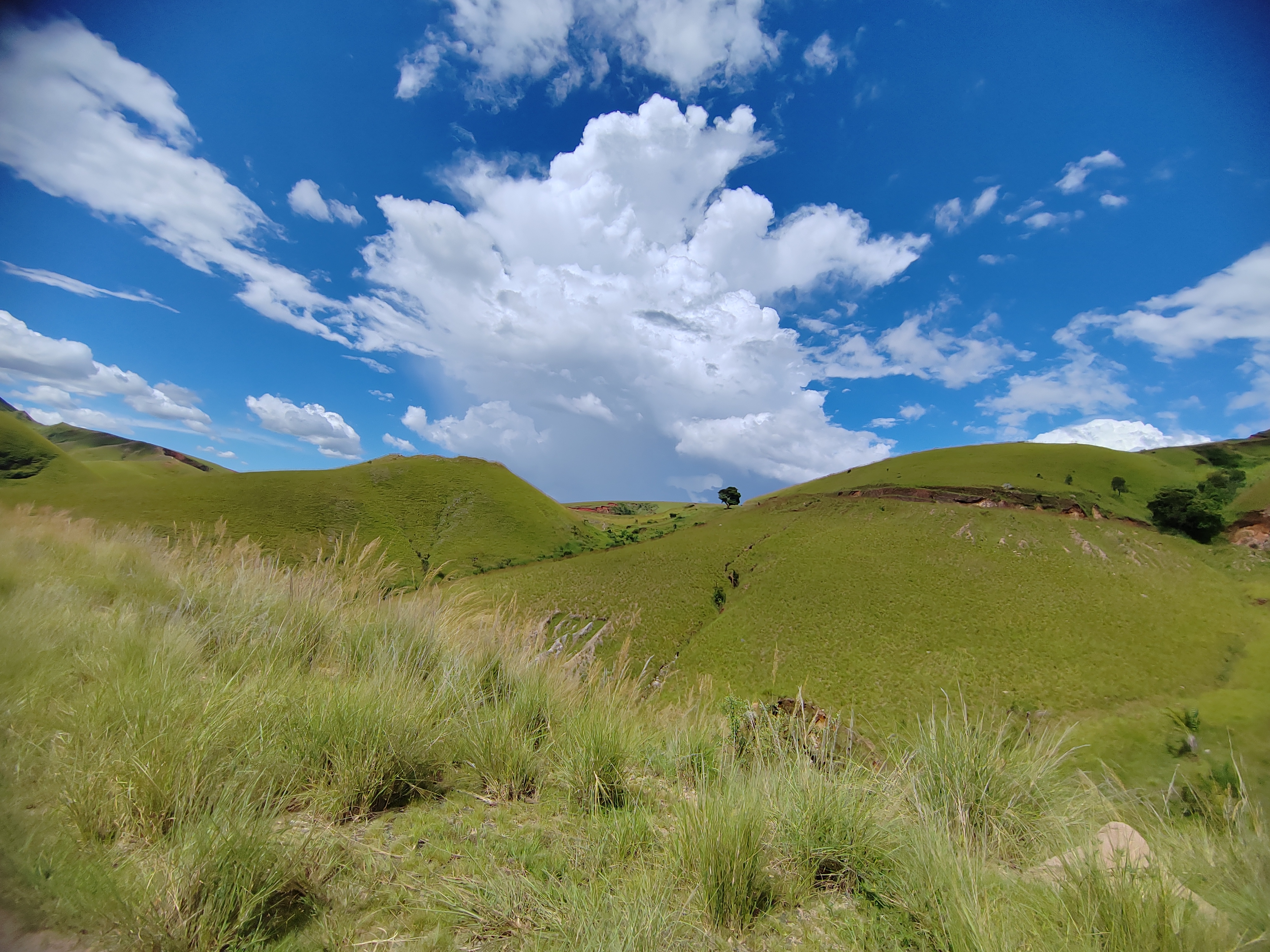Мадагаскар: приключения на зелёном острове! Внутренние рейсы включены! (245/333)